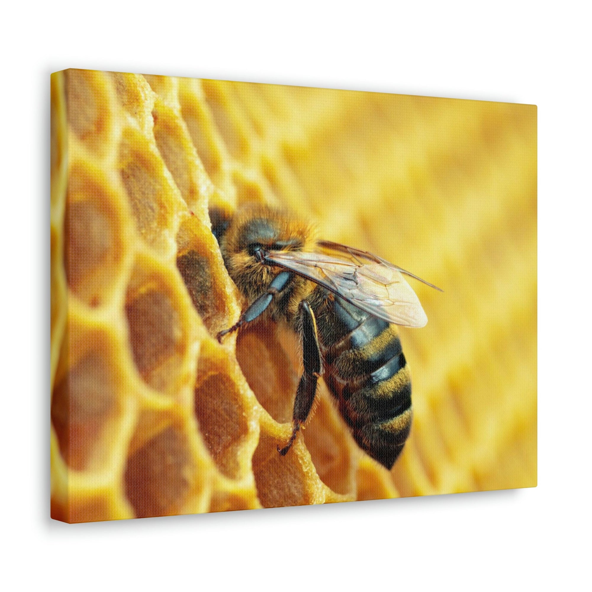 Scripture Walls Bee Hunting Bee on Hunt Print Animal Wall Art Wildlife Canvas Prints Wall Art Ready to Hang Unframed-Express Your Love Gifts