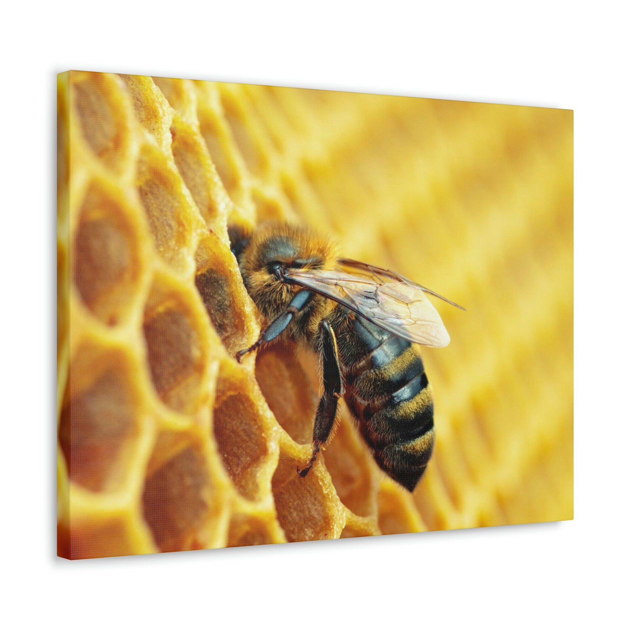 Scripture Walls Bee Hunting Bee on Hunt Print Animal Wall Art Wildlife Canvas Prints Wall Art Ready to Hang Unframed-Express Your Love Gifts