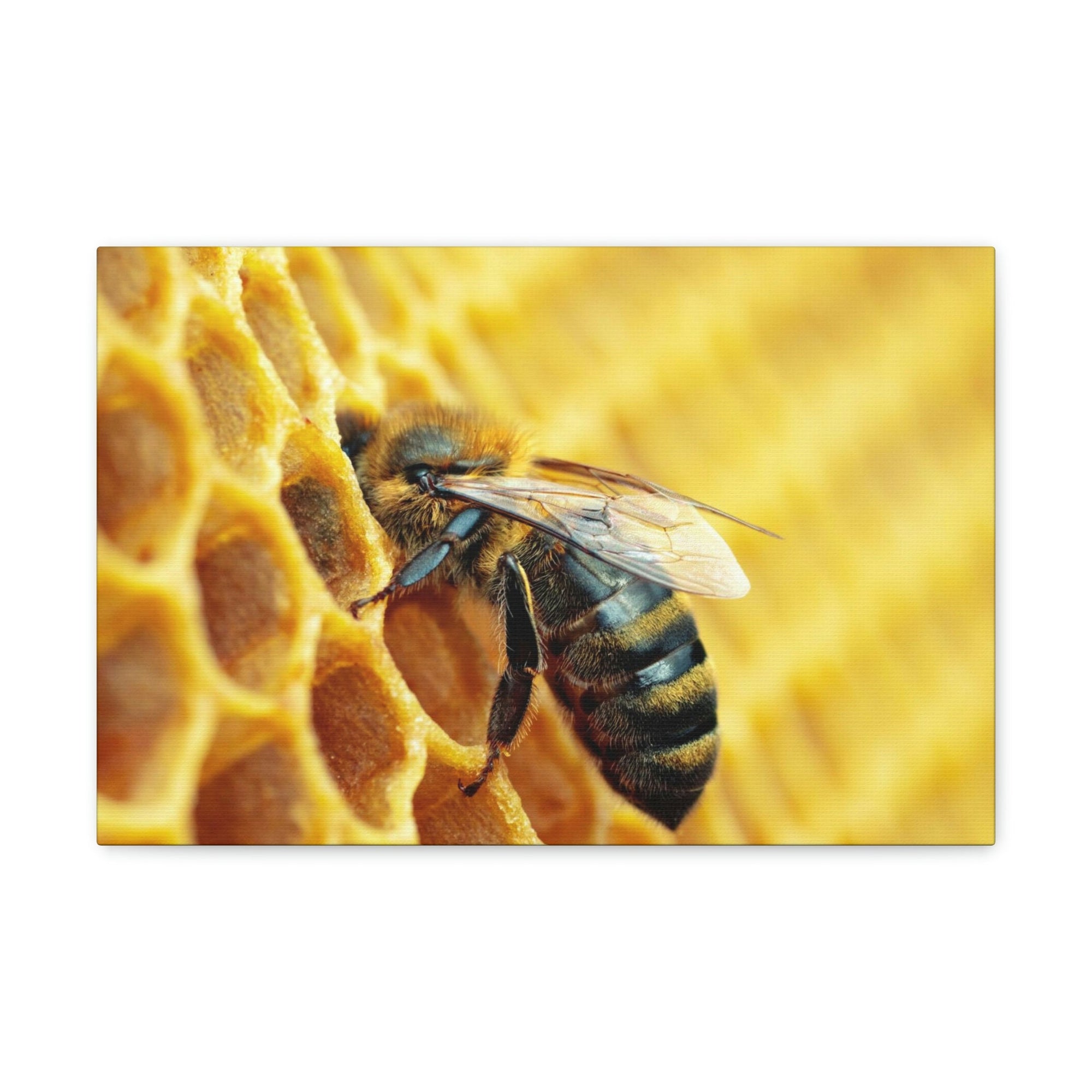 Scripture Walls Bee Hunting Bee on Hunt Print Animal Wall Art Wildlife Canvas Prints Wall Art Ready to Hang Unframed-Express Your Love Gifts