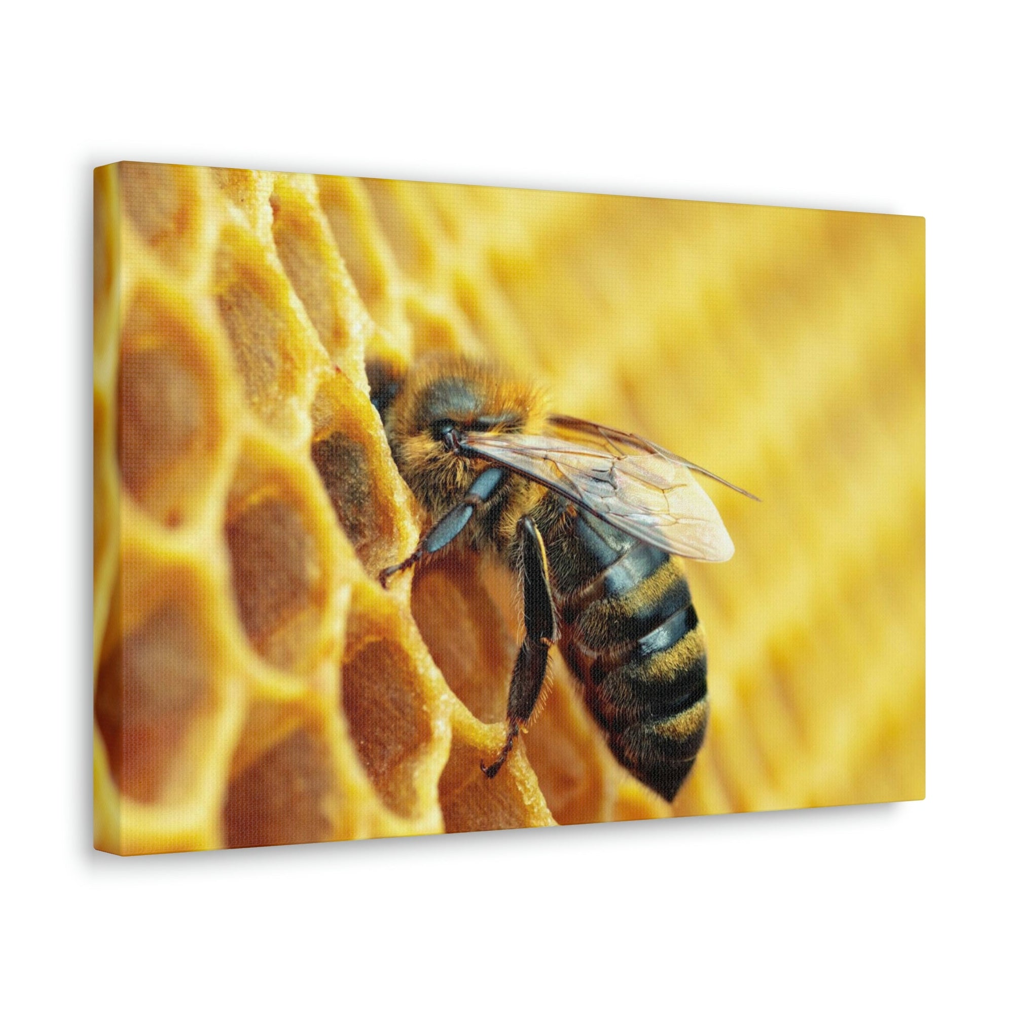 Scripture Walls Bee Hunting Bee on Hunt Print Animal Wall Art Wildlife Canvas Prints Wall Art Ready to Hang Unframed-Express Your Love Gifts