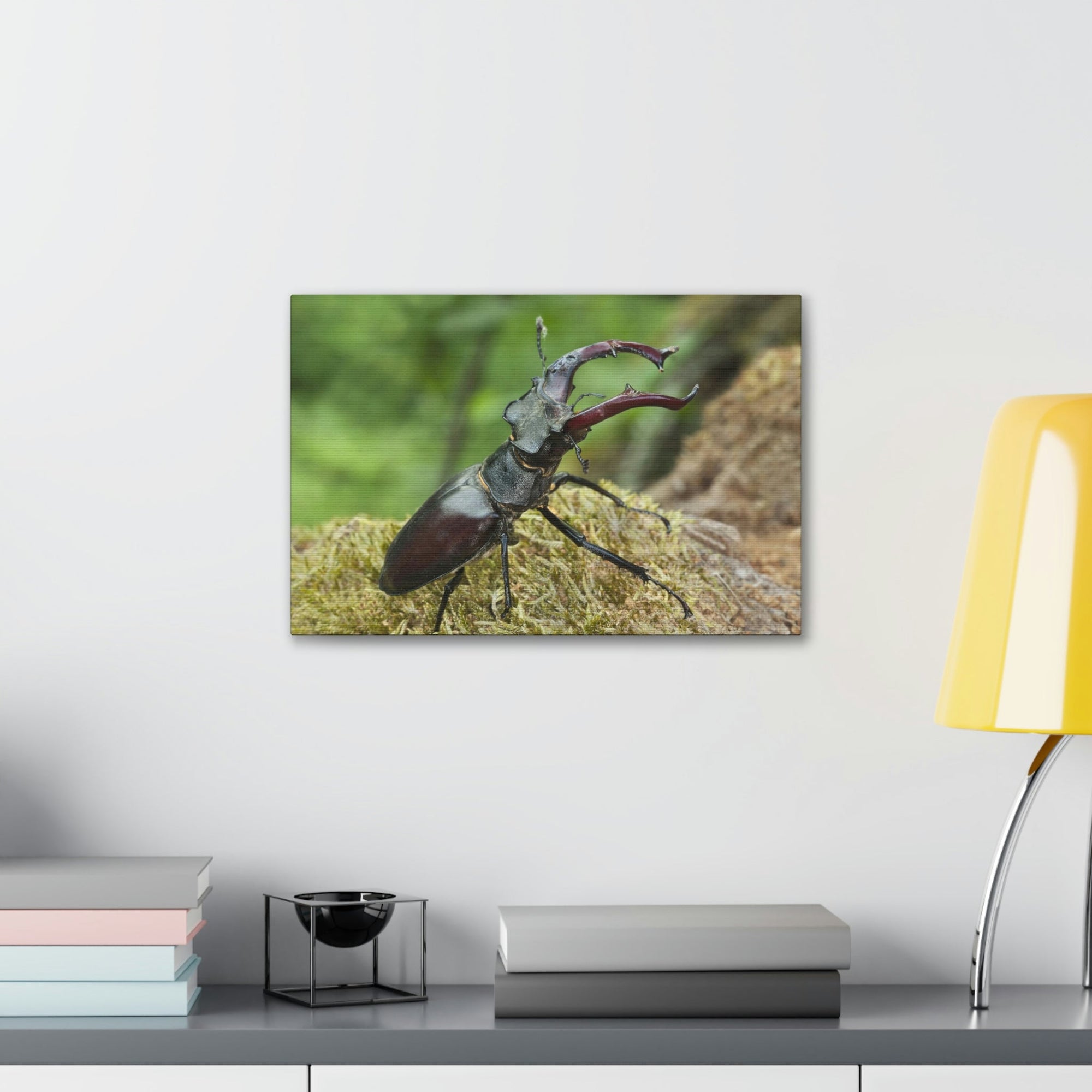 Scripture Walls Beetle Hunting Beetle on Hunt Print Animal Wall Art Wildlife Canvas Prints Wall Art Ready to Hang Unframed-Express Your Love Gifts