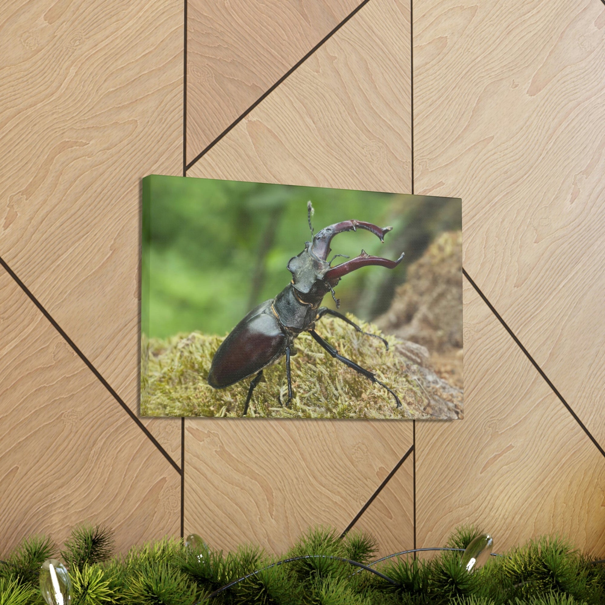 Scripture Walls Beetle Hunting Beetle on Hunt Print Animal Wall Art Wildlife Canvas Prints Wall Art Ready to Hang Unframed-Express Your Love Gifts