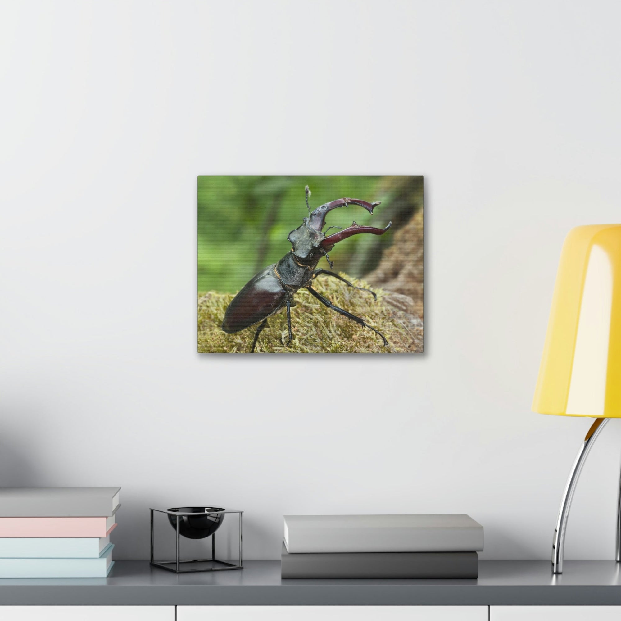 Scripture Walls Beetle Hunting Beetle on Hunt Print Animal Wall Art Wildlife Canvas Prints Wall Art Ready to Hang Unframed-Express Your Love Gifts