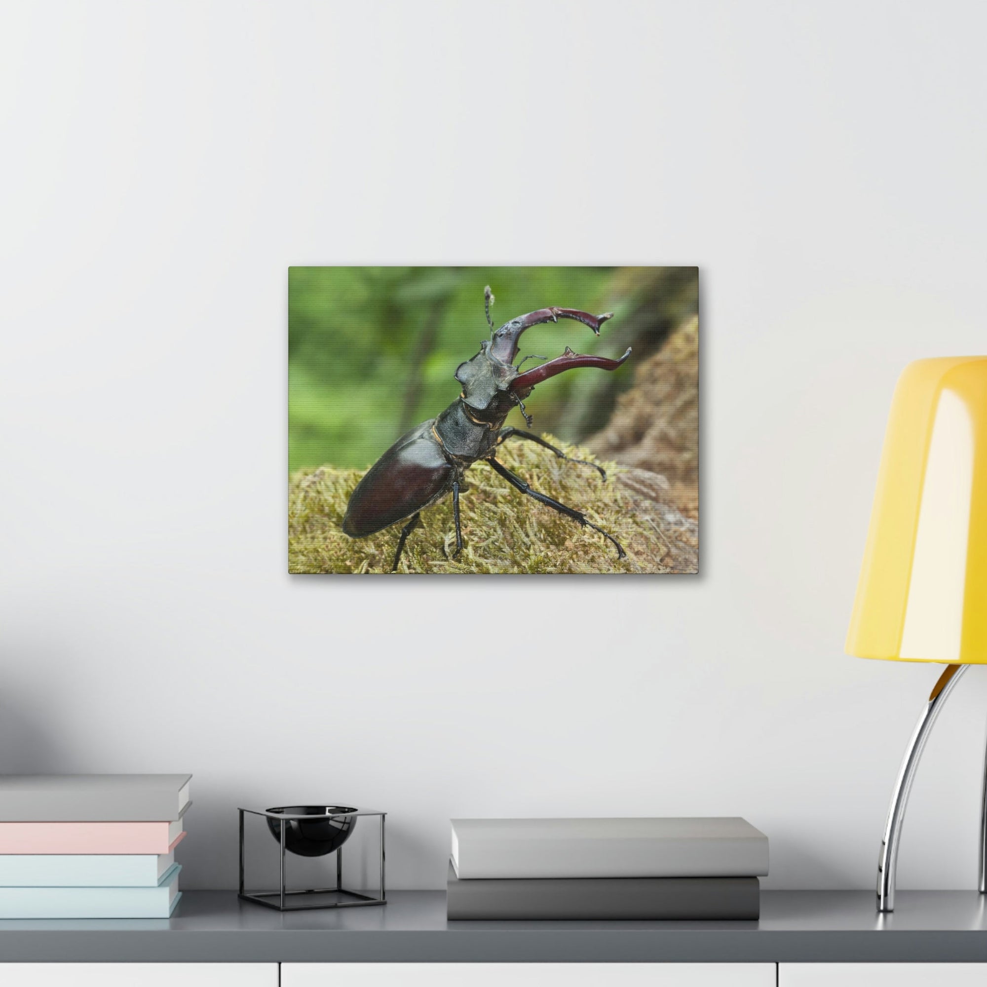 Scripture Walls Beetle Hunting Beetle on Hunt Print Animal Wall Art Wildlife Canvas Prints Wall Art Ready to Hang Unframed-Express Your Love Gifts