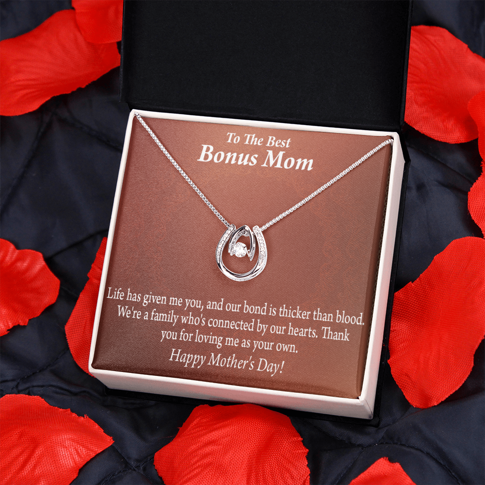 Best Bonus Mom Happy Mothers Day Lucky Horseshoe Necklace Message Card 14k w CZ Crystals-Express Your Love Gifts