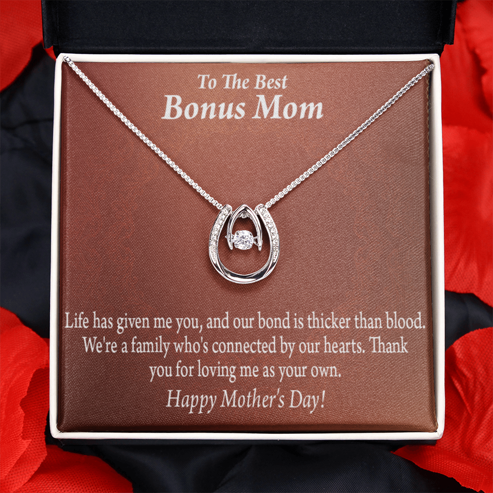 Best Bonus Mom Happy Mothers Day Lucky Horseshoe Necklace Message Card 14k w CZ Crystals-Express Your Love Gifts