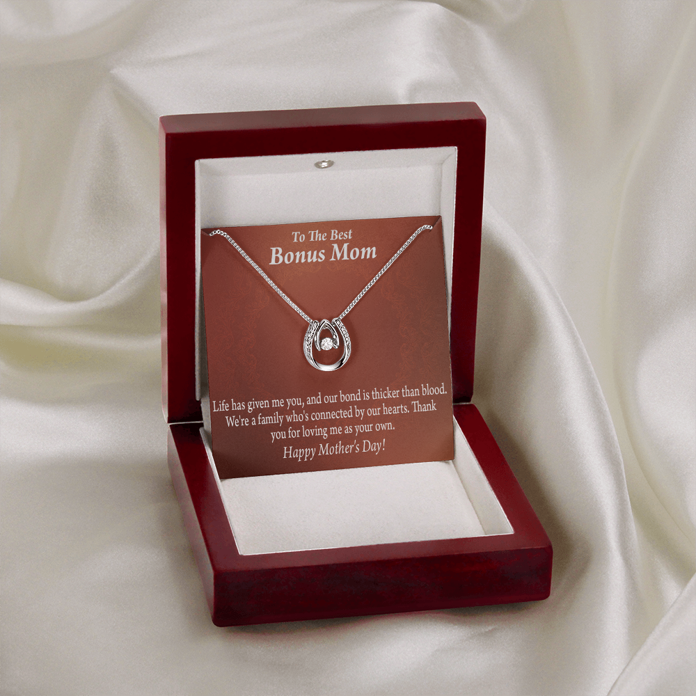 Best Bonus Mom Happy Mothers Day Lucky Horseshoe Necklace Message Card 14k w CZ Crystals-Express Your Love Gifts