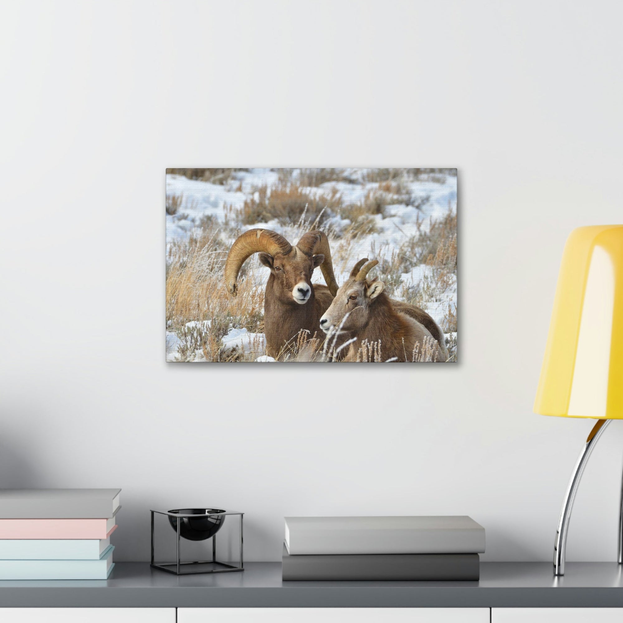 Scripture Walls Big-horned sheep Couple Big-horned sheep Troop Print Animal Wall Art Wildlife Canvas Prints Wall Art Ready to Hang Unframed-Express Your Love Gifts