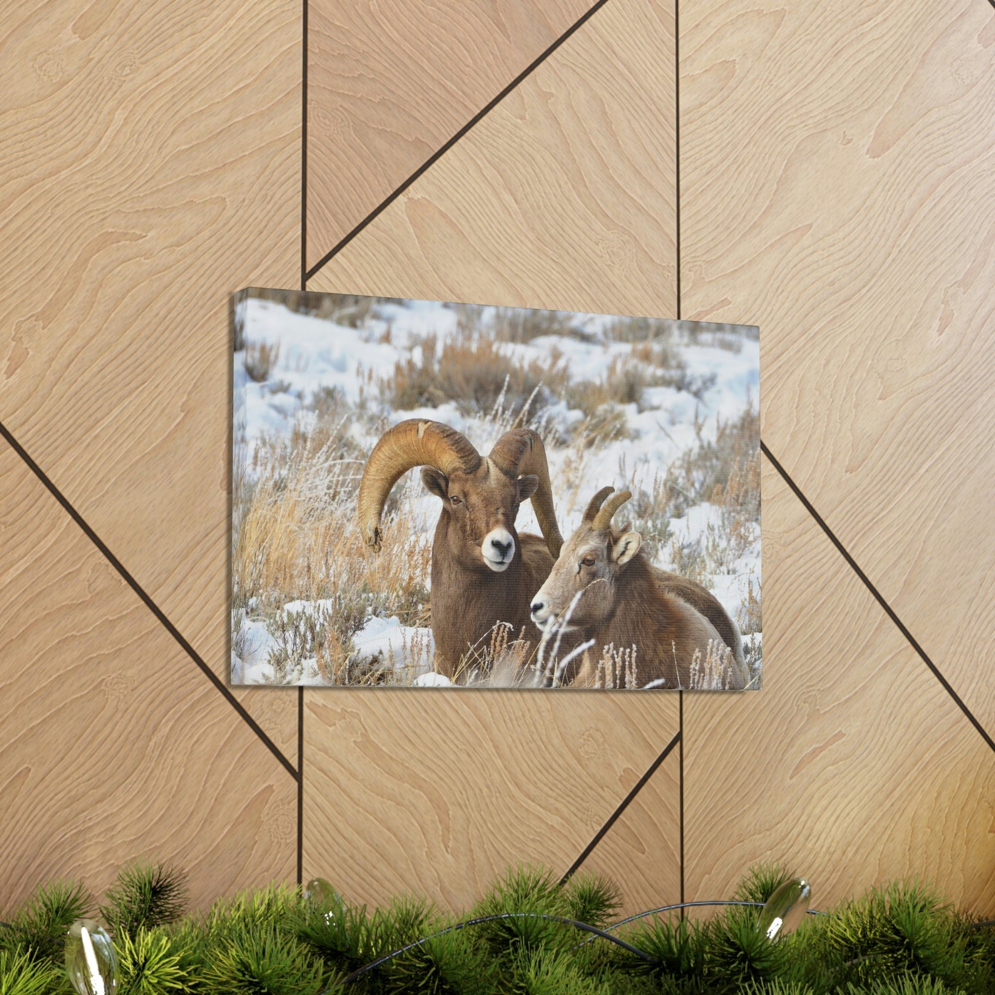 Scripture Walls Big-horned sheep Couple Big-horned sheep Troop Print Animal Wall Art Wildlife Canvas Prints Wall Art Ready to Hang Unframed-Express Your Love Gifts