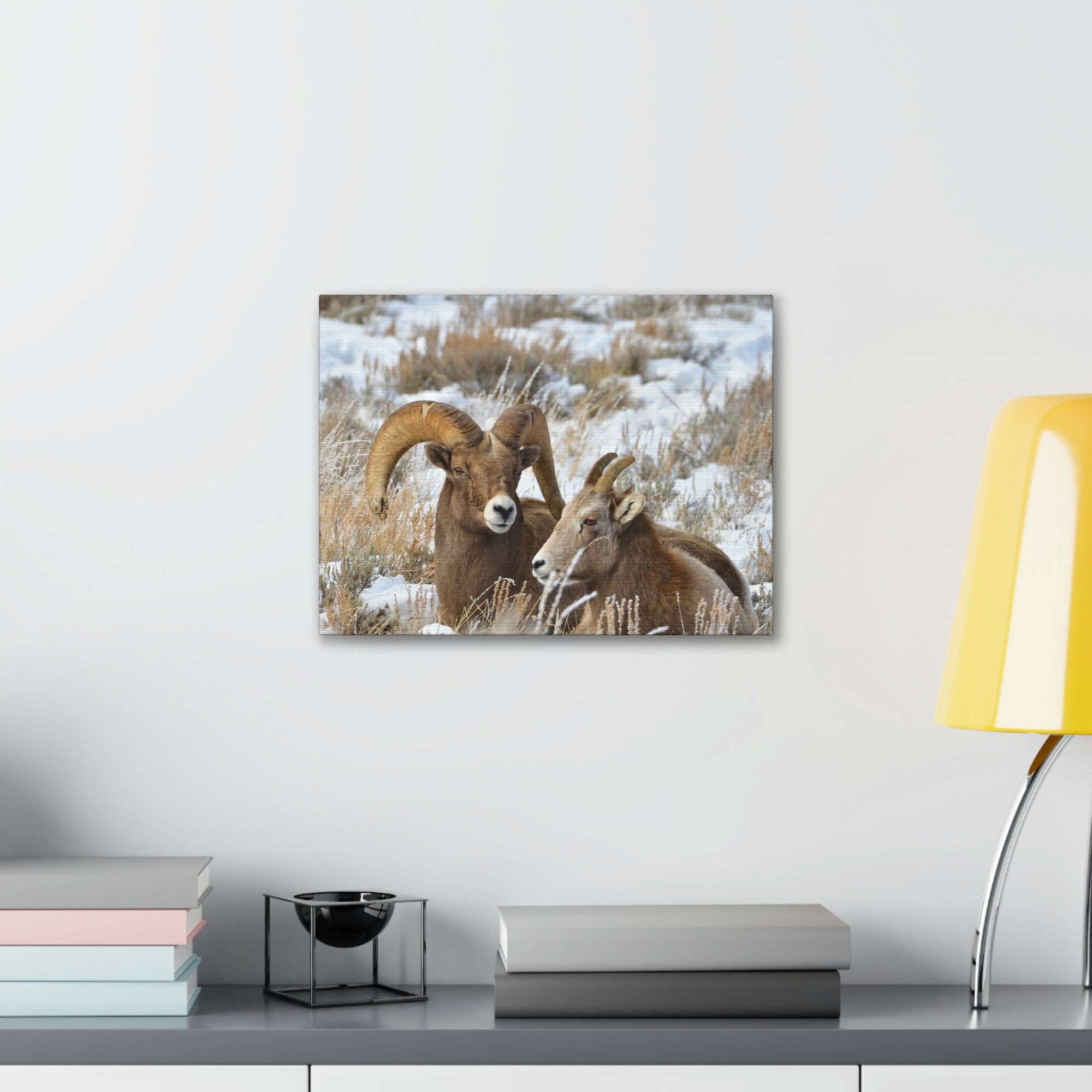 Scripture Walls Big-horned sheep Couple Big-horned sheep Troop Print Animal Wall Art Wildlife Canvas Prints Wall Art Ready to Hang Unframed-Express Your Love Gifts