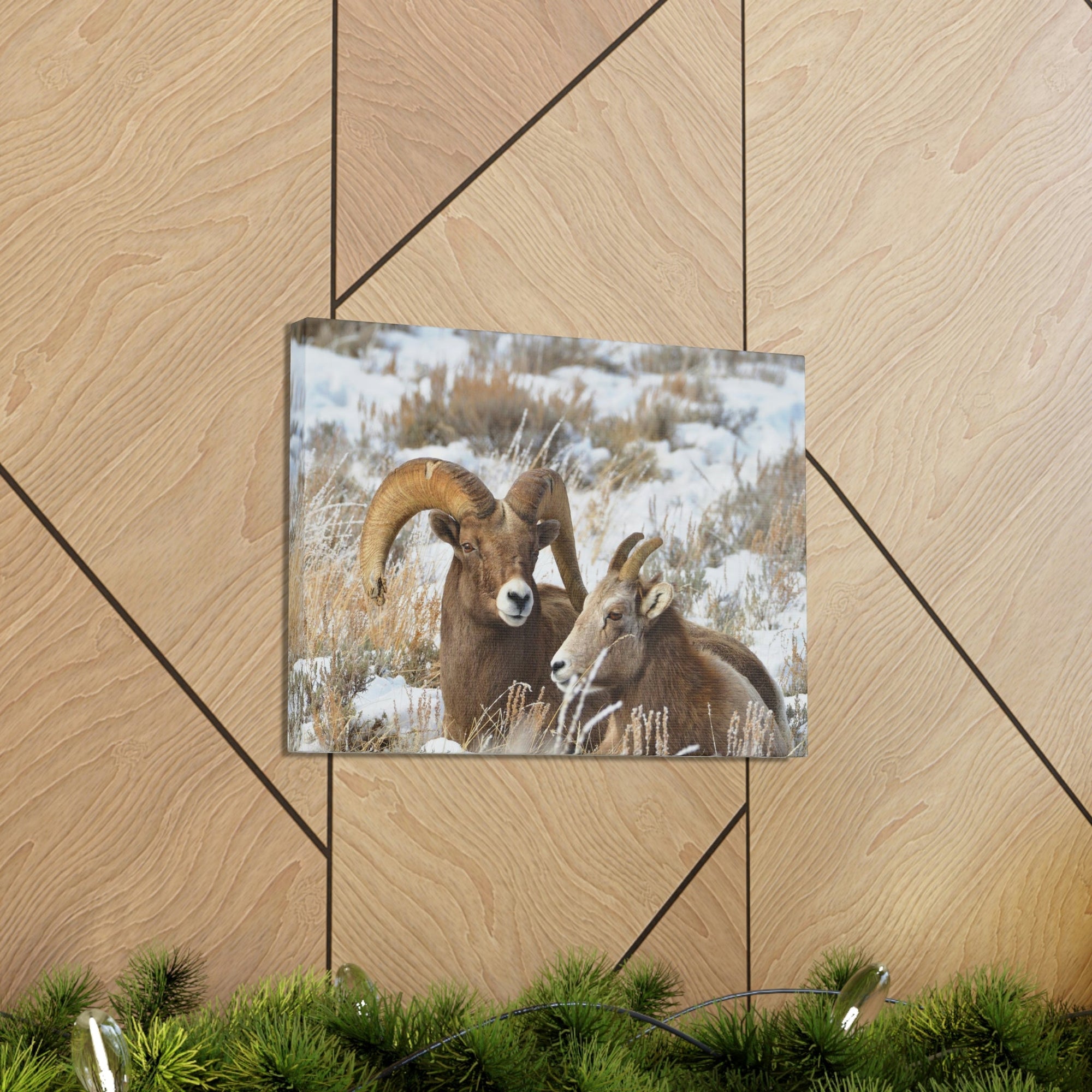 Scripture Walls Big-horned sheep Couple Big-horned sheep Troop Print Animal Wall Art Wildlife Canvas Prints Wall Art Ready to Hang Unframed-Express Your Love Gifts