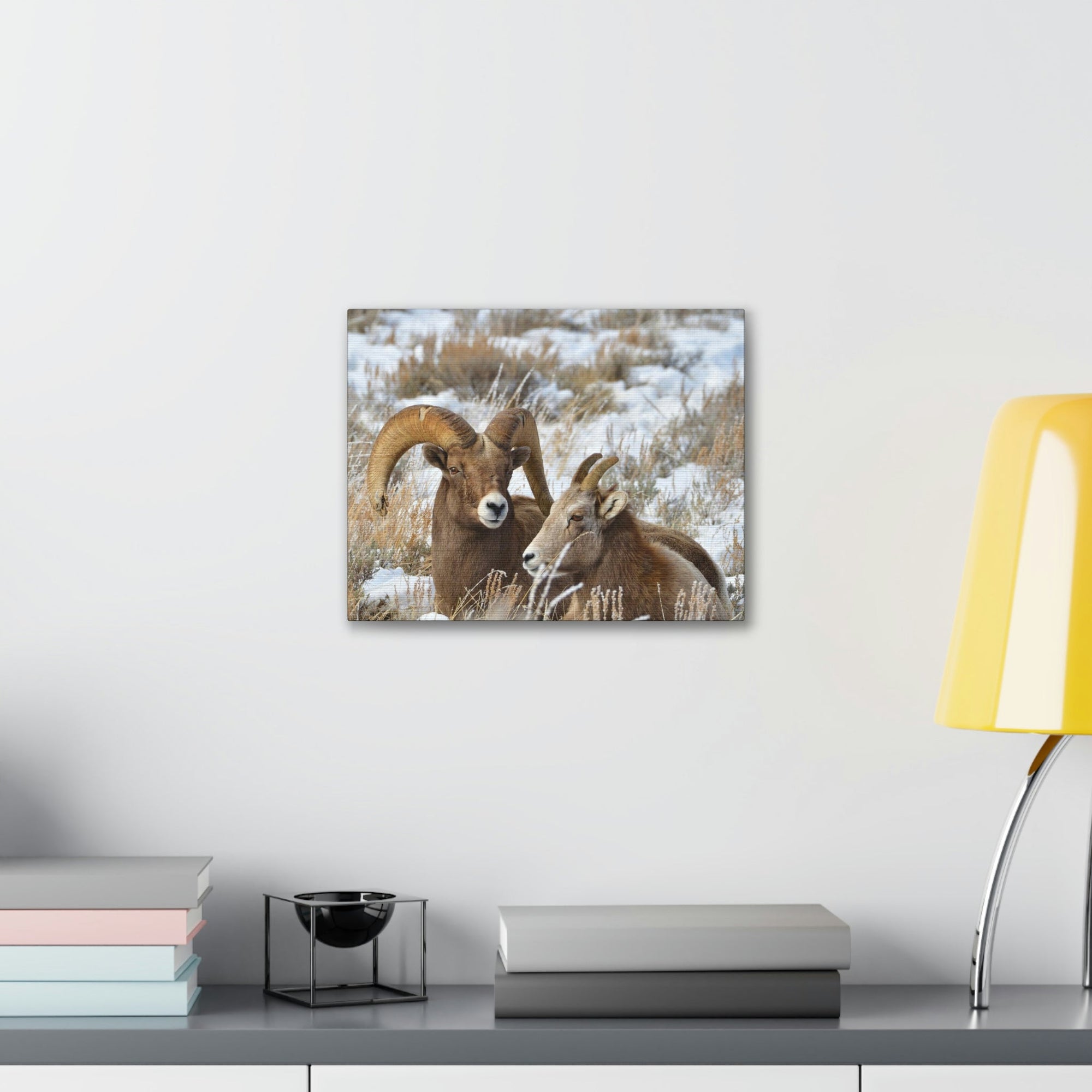 Scripture Walls Big-horned sheep Couple Big-horned sheep Troop Print Animal Wall Art Wildlife Canvas Prints Wall Art Ready to Hang Unframed-Express Your Love Gifts