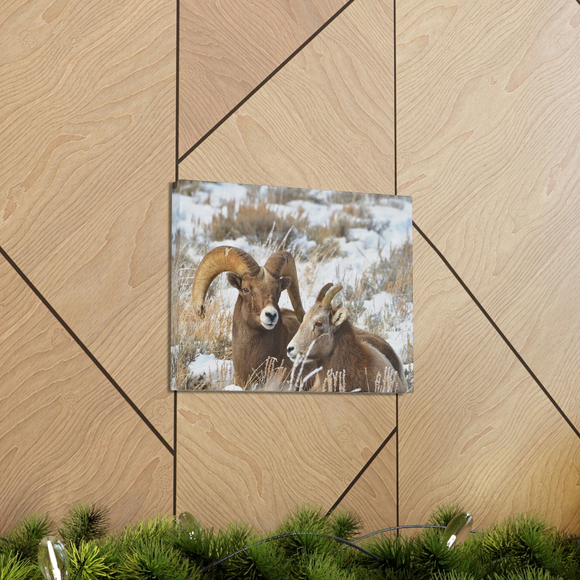 Scripture Walls Big-horned sheep Couple Big-horned sheep Troop Print Animal Wall Art Wildlife Canvas Prints Wall Art Ready to Hang Unframed-Express Your Love Gifts