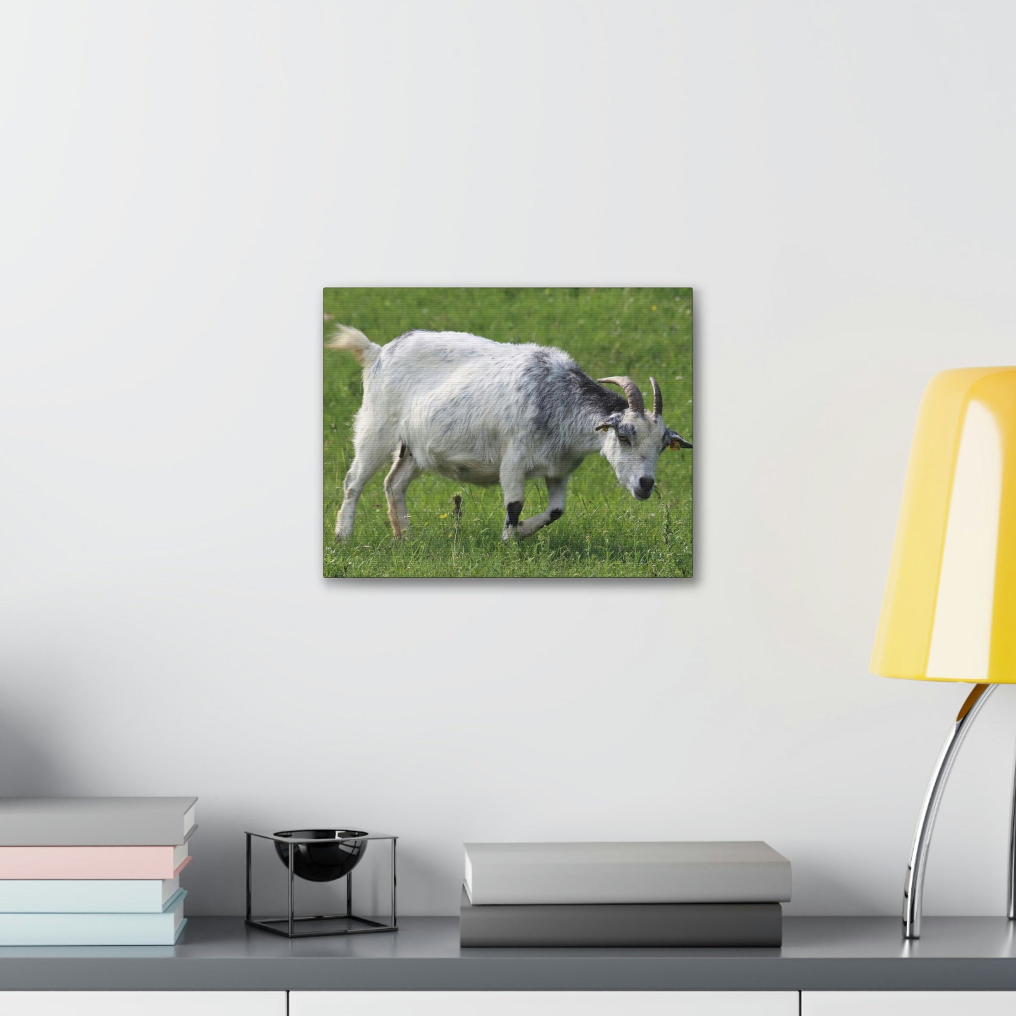 Scripture Walls Billy Goat Hunting Billy Goat on Hunt Print Animal Wall Art Wildlife Canvas Prints Wall Art Ready to Hang Unframed-Express Your Love Gifts