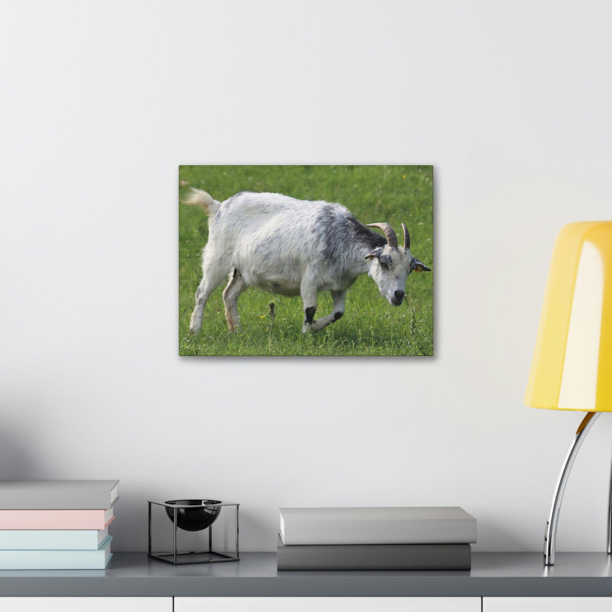 Scripture Walls Billy Goat Hunting Billy Goat on Hunt Print Animal Wall Art Wildlife Canvas Prints Wall Art Ready to Hang Unframed-Express Your Love Gifts