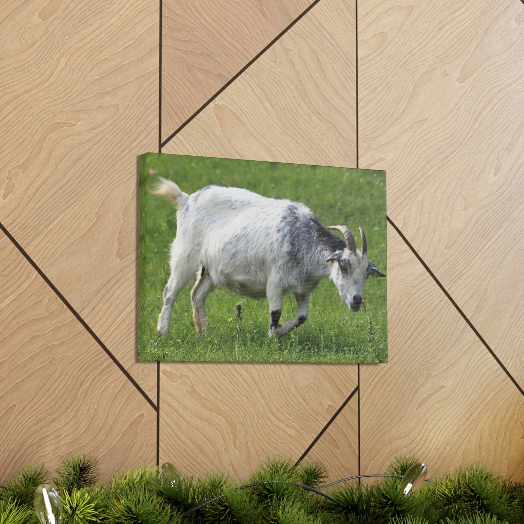 Scripture Walls Billy Goat Hunting Billy Goat on Hunt Print Animal Wall Art Wildlife Canvas Prints Wall Art Ready to Hang Unframed-Express Your Love Gifts