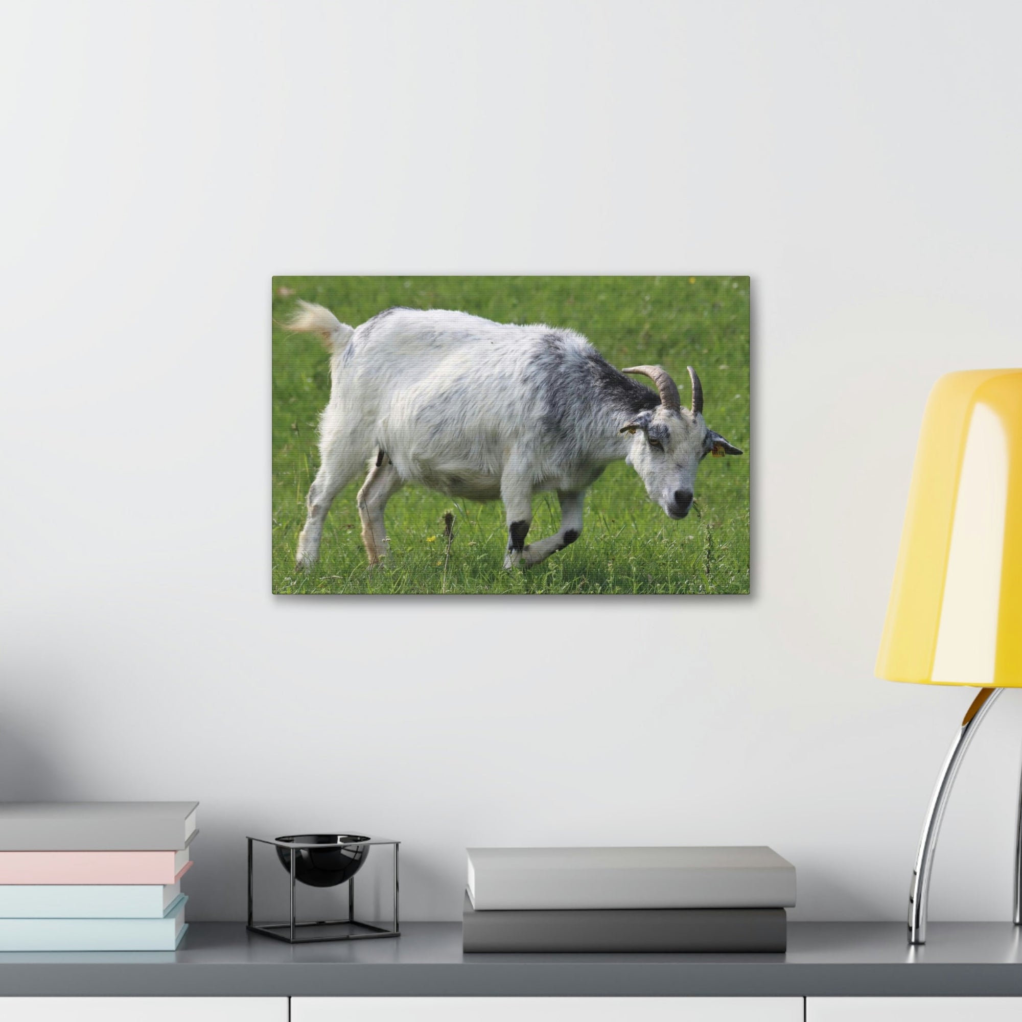 Scripture Walls Billy Goat Hunting Billy Goat on Hunt Print Animal Wall Art Wildlife Canvas Prints Wall Art Ready to Hang Unframed-Express Your Love Gifts