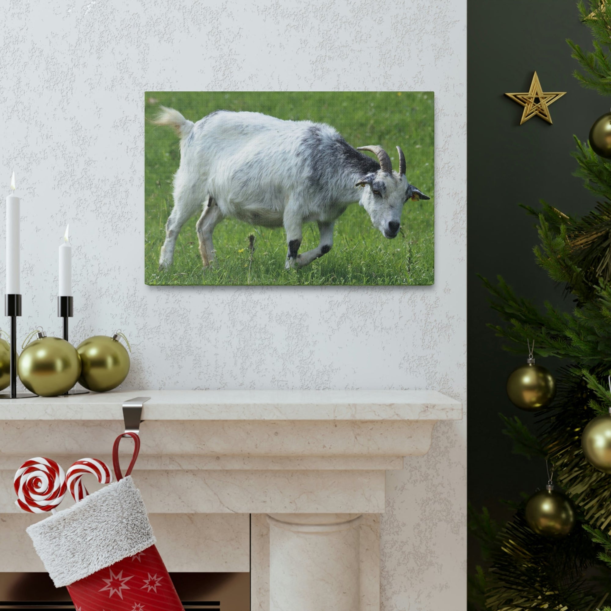 Scripture Walls Billy Goat Hunting Billy Goat on Hunt Print Animal Wall Art Wildlife Canvas Prints Wall Art Ready to Hang Unframed-Express Your Love Gifts