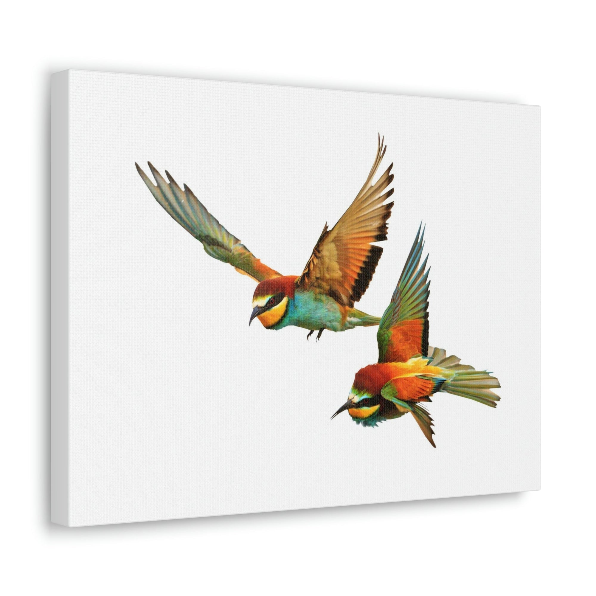 Scripture Walls Bird Couple Bird Troop Print Animal Wall Art Wildlife Canvas Prints Wall Art Ready to Hang Unframed-Express Your Love Gifts