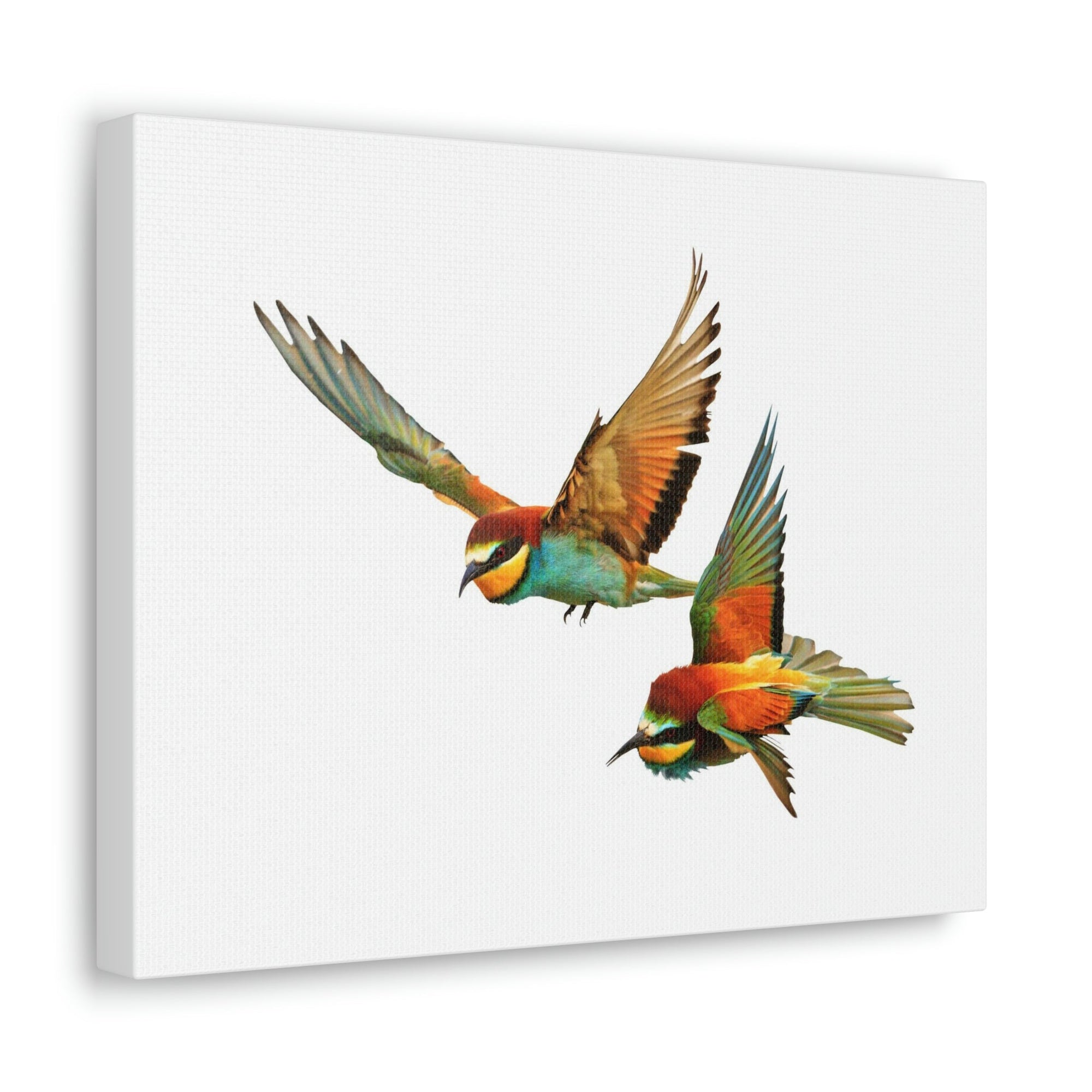 Scripture Walls Bird Couple Bird Troop Print Animal Wall Art Wildlife Canvas Prints Wall Art Ready to Hang Unframed-Express Your Love Gifts