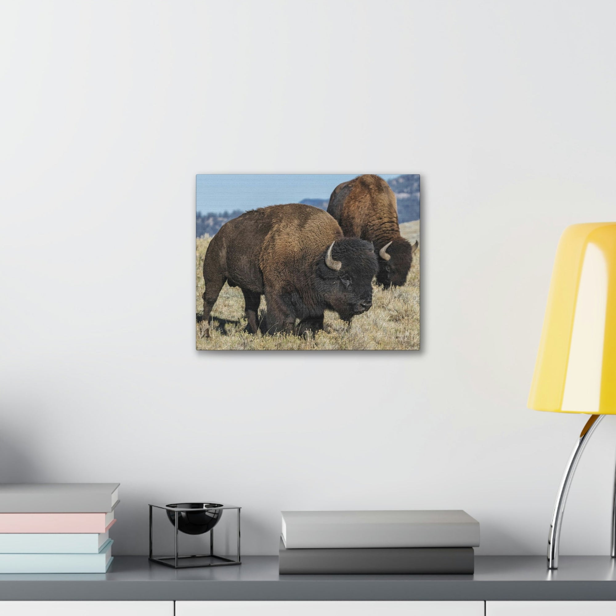 Scripture Walls Bison Couple Bison Bison Troop Print Animal Wall Art Wildlife Canvas Prints Wall Art Ready to Hang Unframed-Express Your Love Gifts