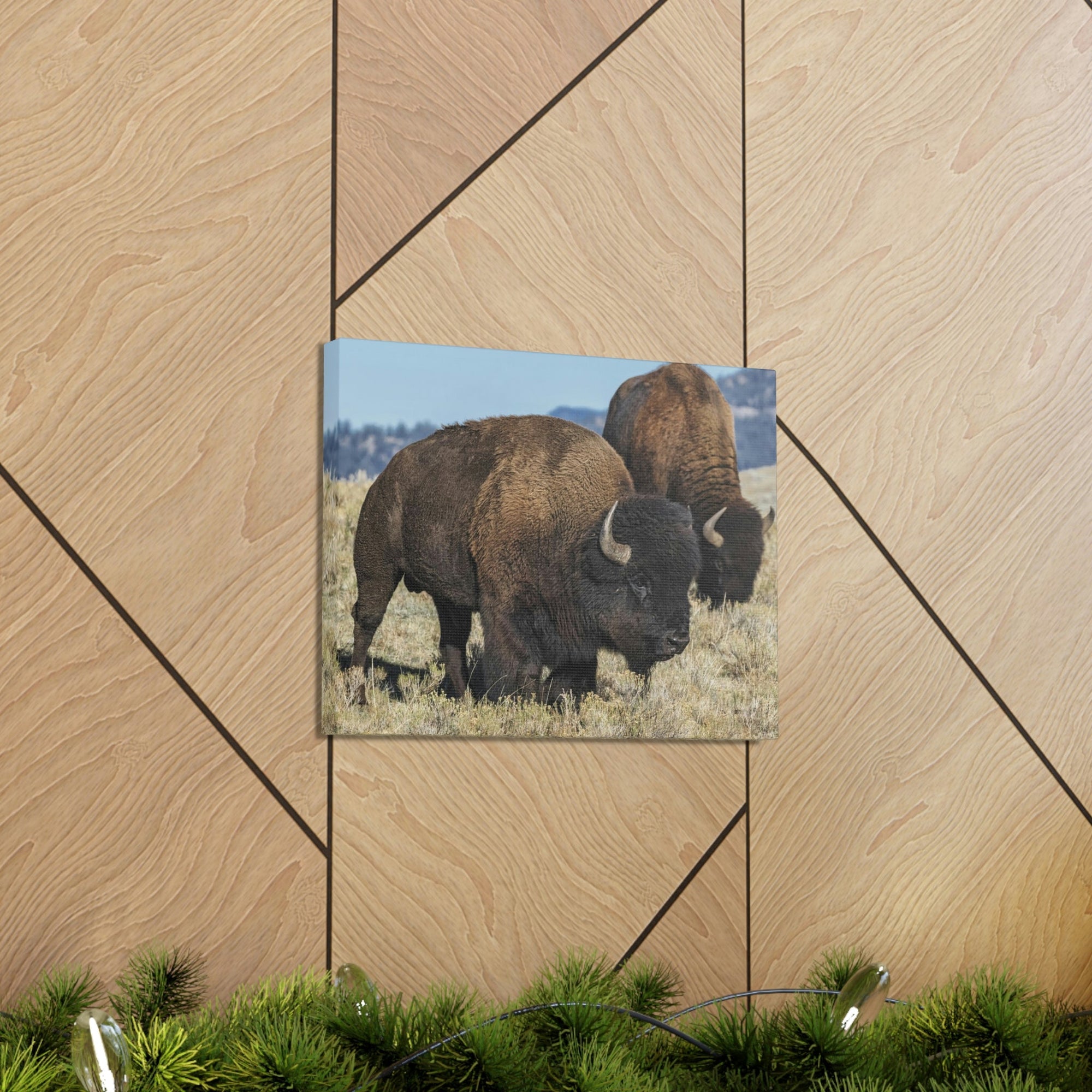 Scripture Walls Bison Couple Bison Bison Troop Print Animal Wall Art Wildlife Canvas Prints Wall Art Ready to Hang Unframed-Express Your Love Gifts