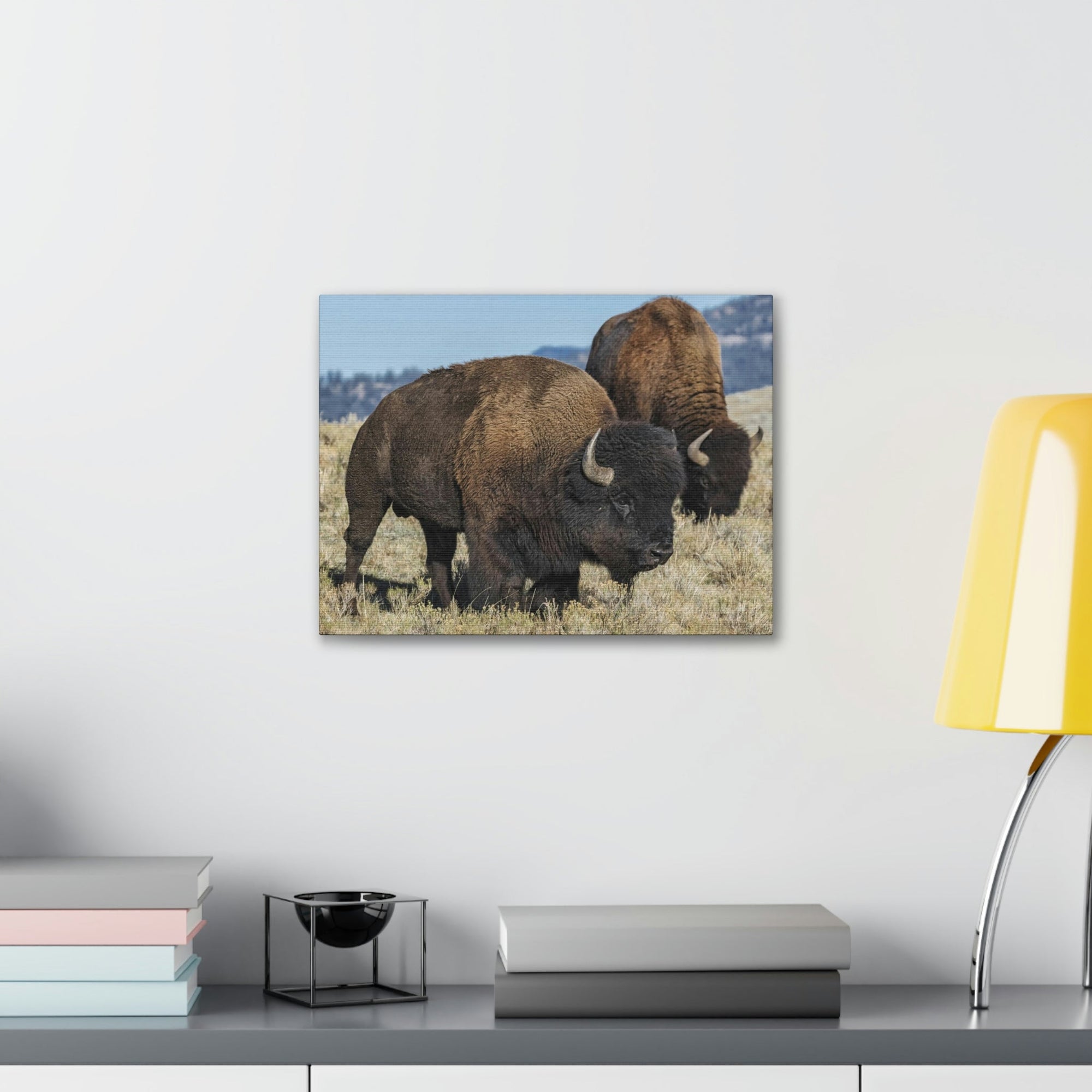 Scripture Walls Bison Couple Bison Bison Troop Print Animal Wall Art Wildlife Canvas Prints Wall Art Ready to Hang Unframed-Express Your Love Gifts