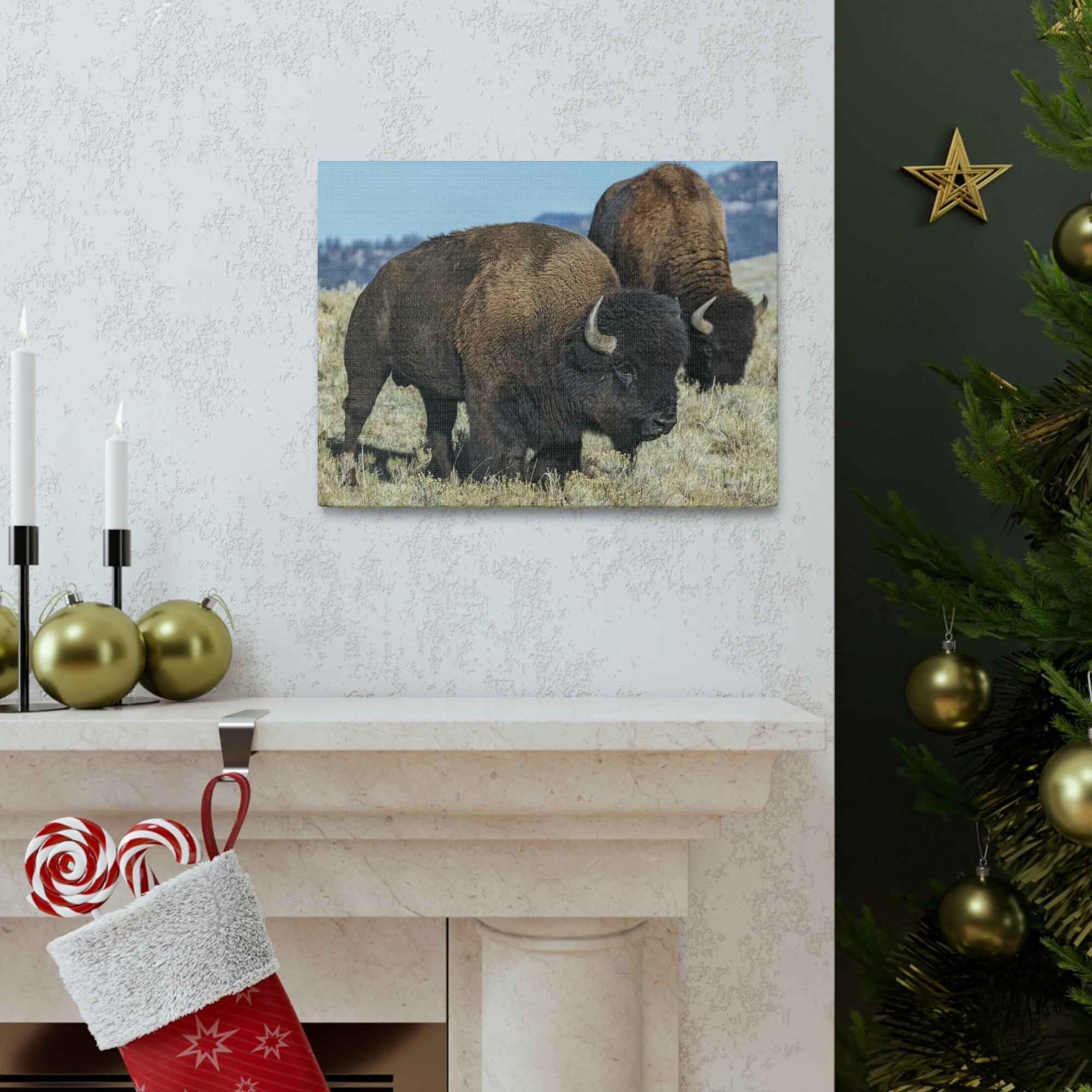 Scripture Walls Bison Couple Bison Bison Troop Print Animal Wall Art Wildlife Canvas Prints Wall Art Ready to Hang Unframed-Express Your Love Gifts