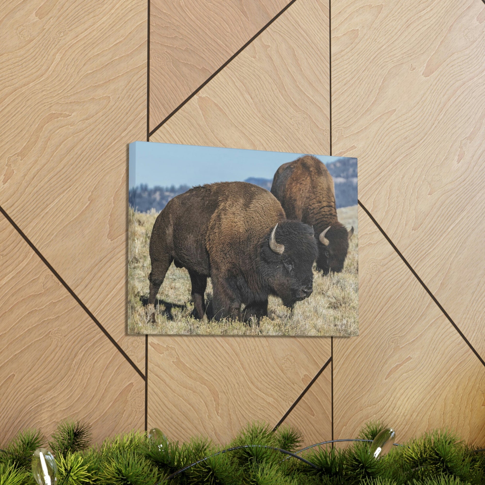 Scripture Walls Bison Couple Bison Bison Troop Print Animal Wall Art Wildlife Canvas Prints Wall Art Ready to Hang Unframed-Express Your Love Gifts