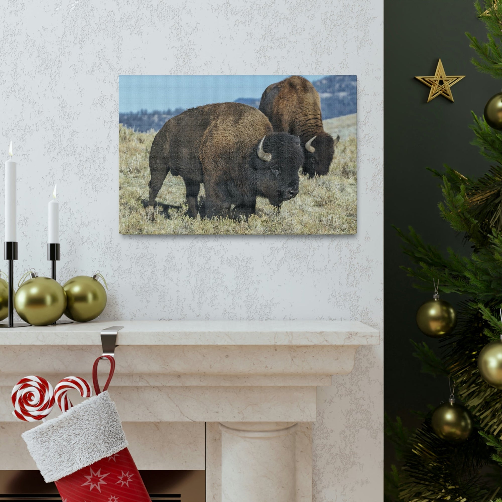 Scripture Walls Bison Couple Bison Bison Troop Print Animal Wall Art Wildlife Canvas Prints Wall Art Ready to Hang Unframed-Express Your Love Gifts