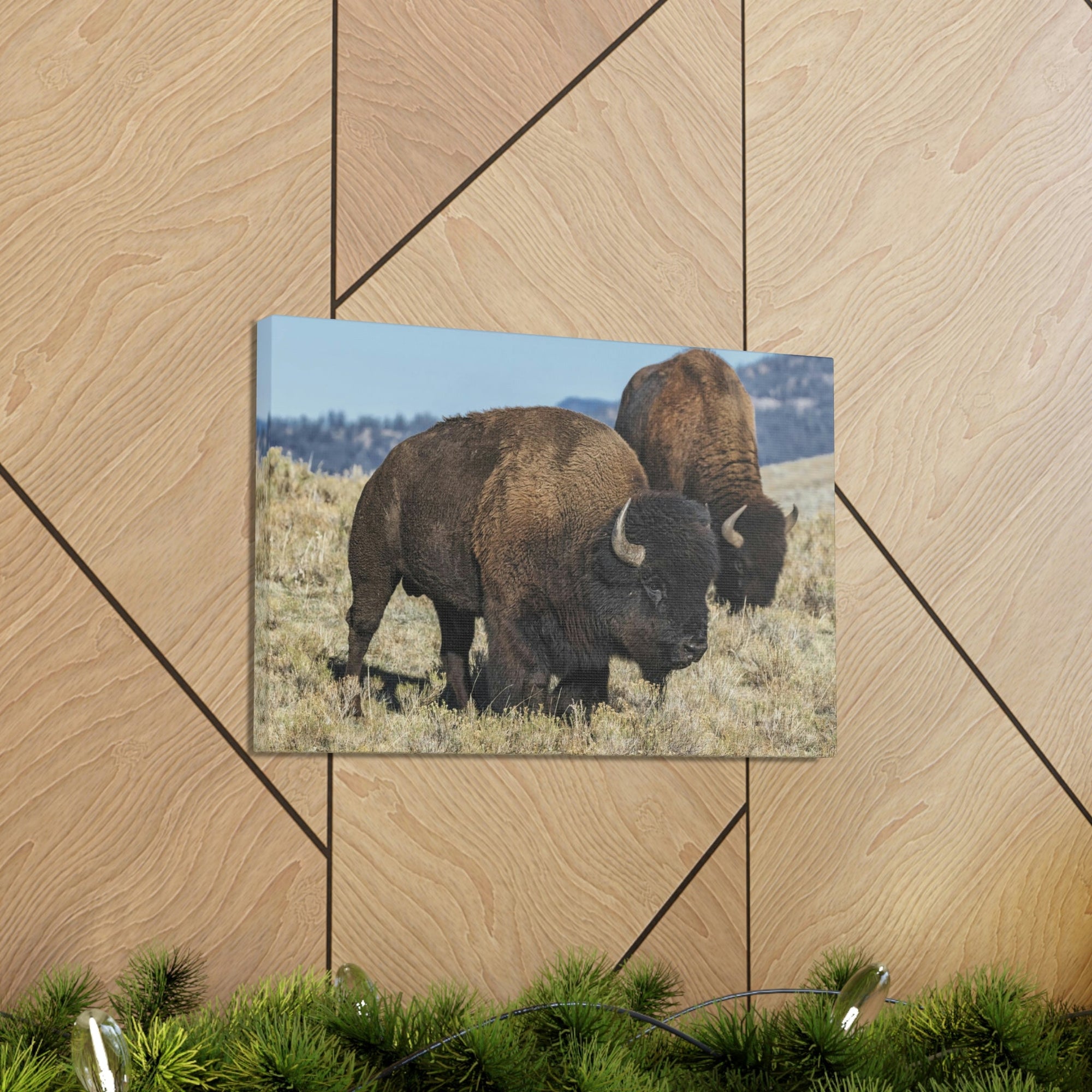 Scripture Walls Bison Couple Bison Bison Troop Print Animal Wall Art Wildlife Canvas Prints Wall Art Ready to Hang Unframed-Express Your Love Gifts