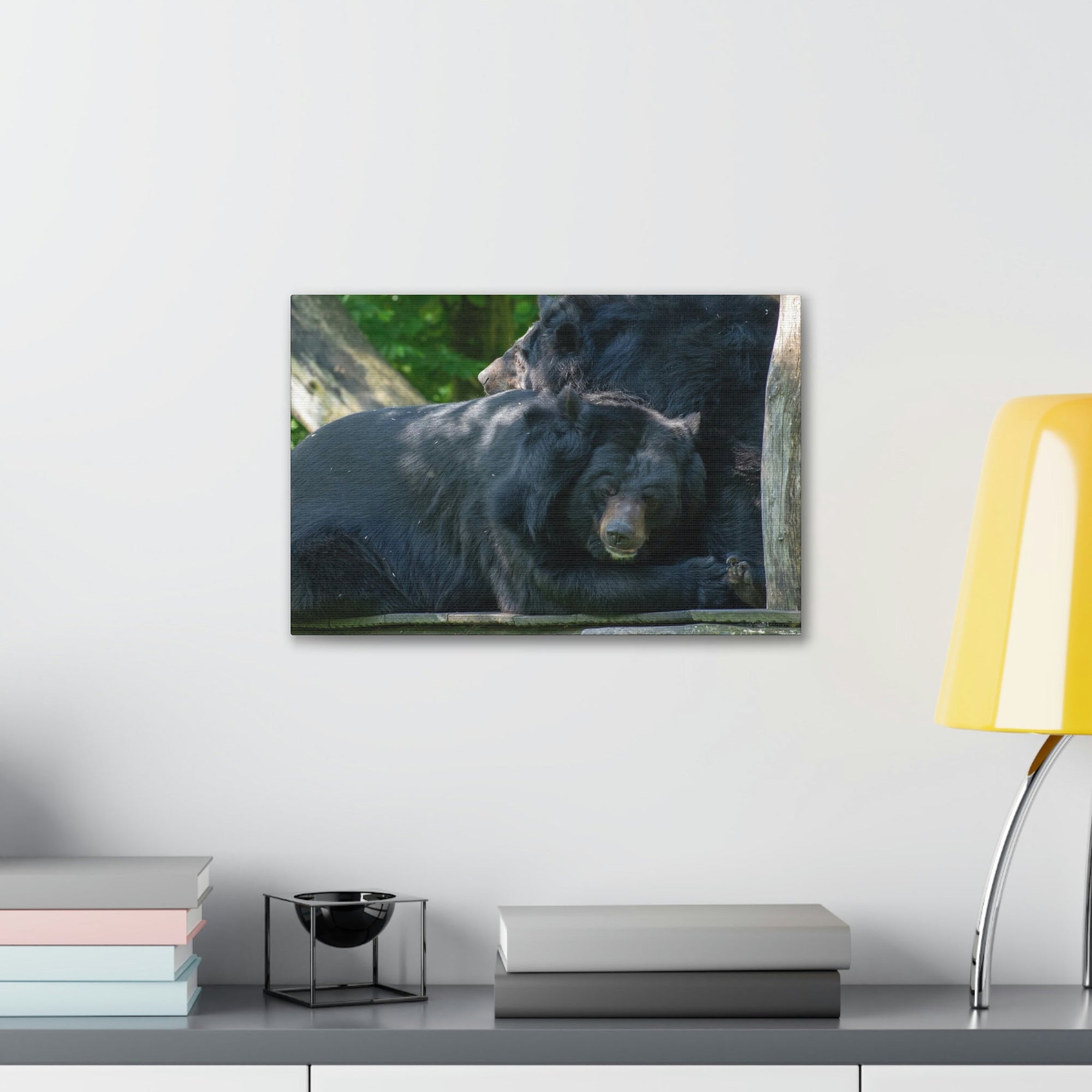 Scripture Walls Black Bear Couple Black Bear Troop Print Animal Wall Art Wildlife Canvas Prints Wall Art Ready to Hang Unframed-Express Your Love Gifts