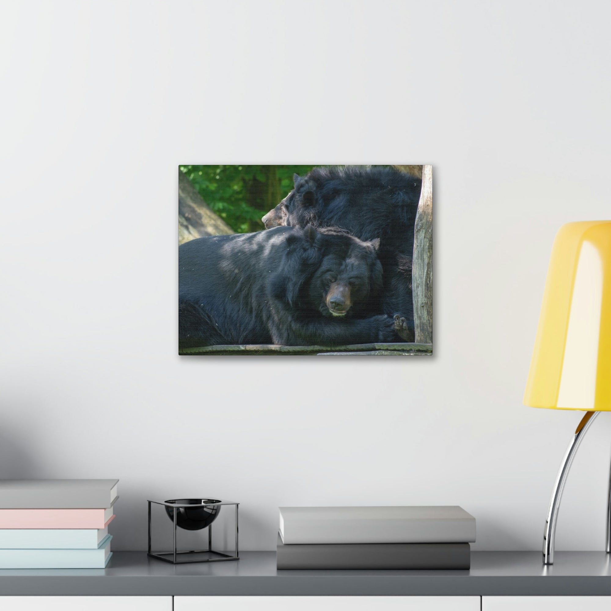 Scripture Walls Black Bear Couple Black Bear Troop Print Animal Wall Art Wildlife Canvas Prints Wall Art Ready to Hang Unframed-Express Your Love Gifts