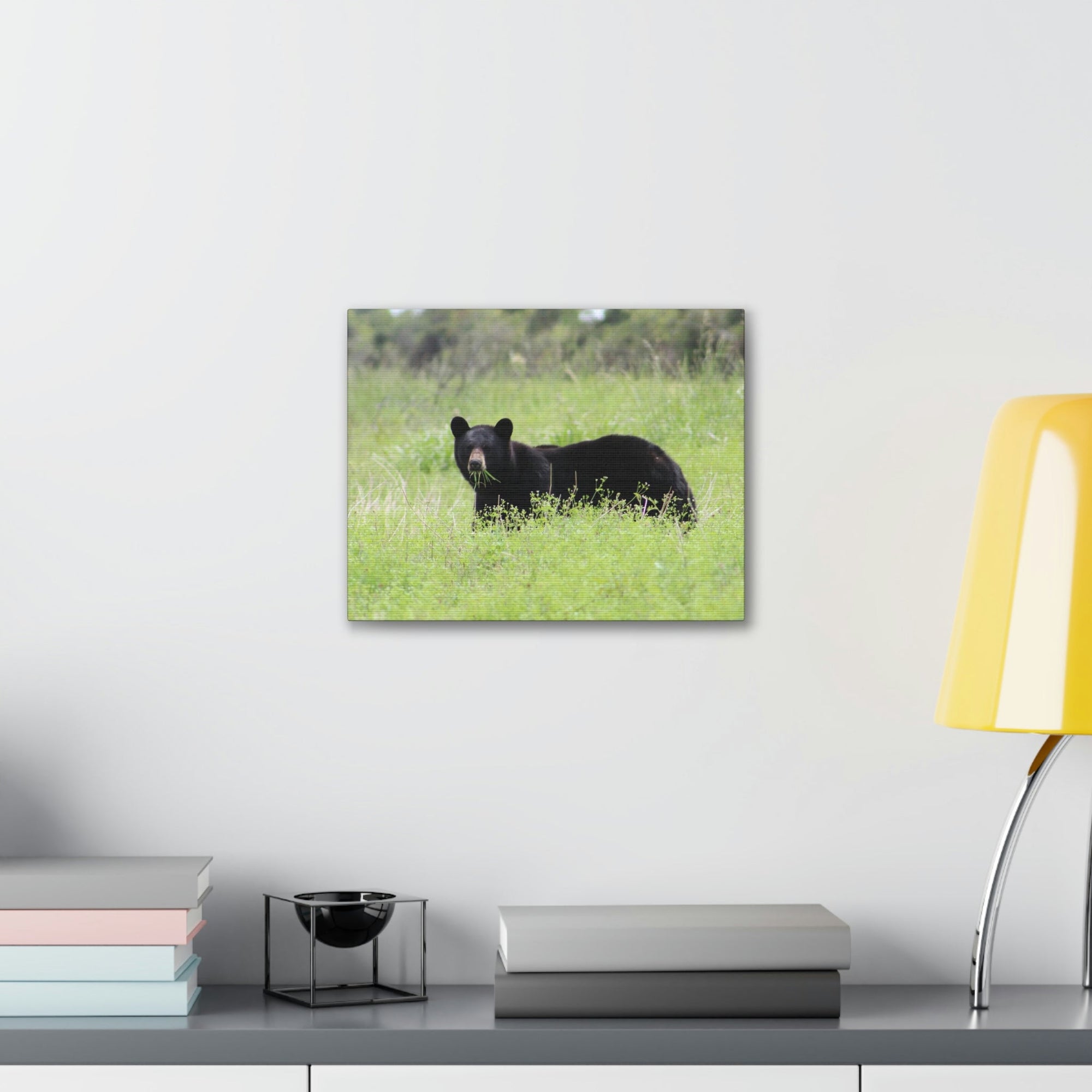 Scripture Walls Black Bear Hunting Black Bear on Hunt Print Animal Wall Art Wildlife Canvas Prints Wall Art Ready to Hang Unframed-Express Your Love Gifts