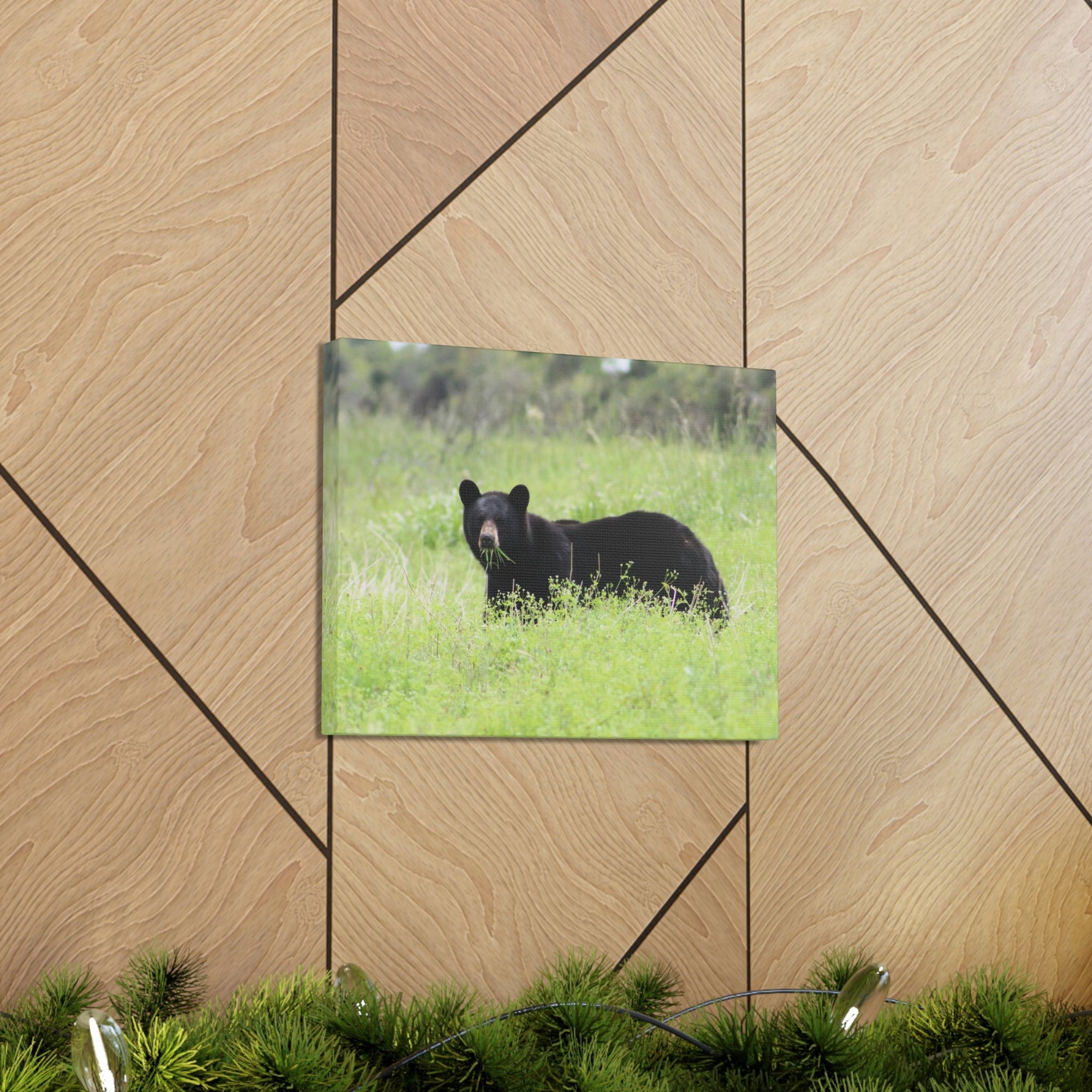 Scripture Walls Black Bear Hunting Black Bear on Hunt Print Animal Wall Art Wildlife Canvas Prints Wall Art Ready to Hang Unframed-Express Your Love Gifts