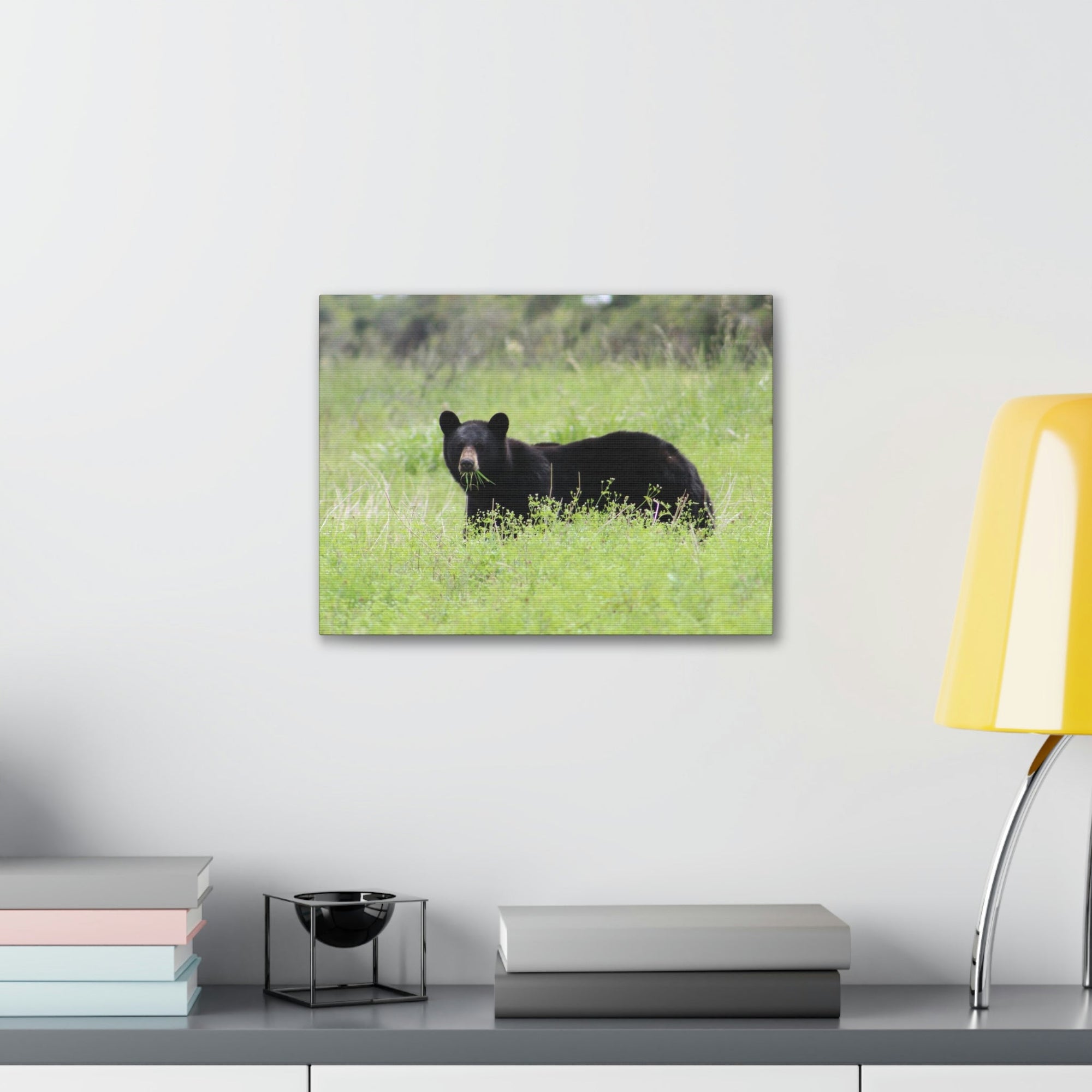 Scripture Walls Black Bear Hunting Black Bear on Hunt Print Animal Wall Art Wildlife Canvas Prints Wall Art Ready to Hang Unframed-Express Your Love Gifts