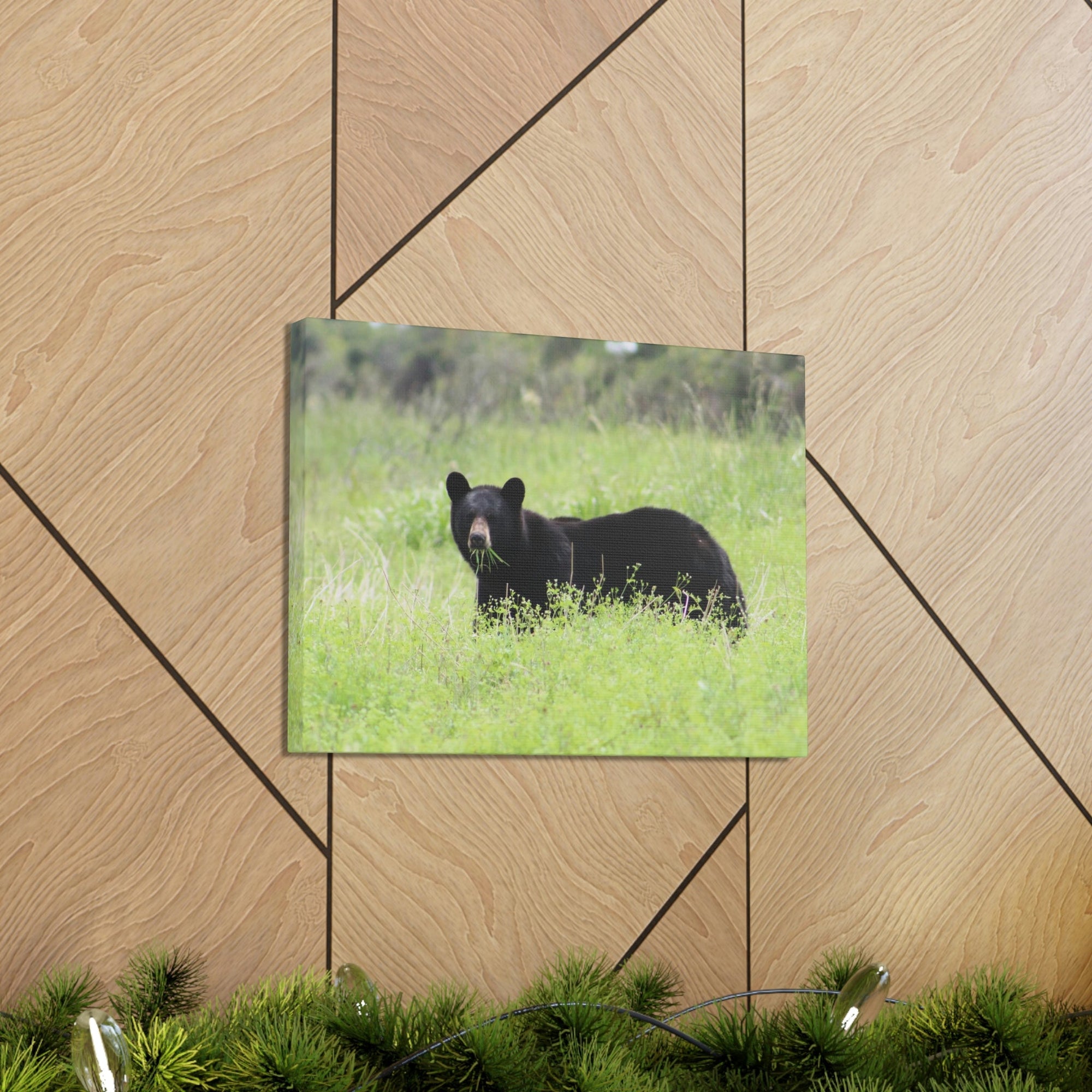 Scripture Walls Black Bear Hunting Black Bear on Hunt Print Animal Wall Art Wildlife Canvas Prints Wall Art Ready to Hang Unframed-Express Your Love Gifts