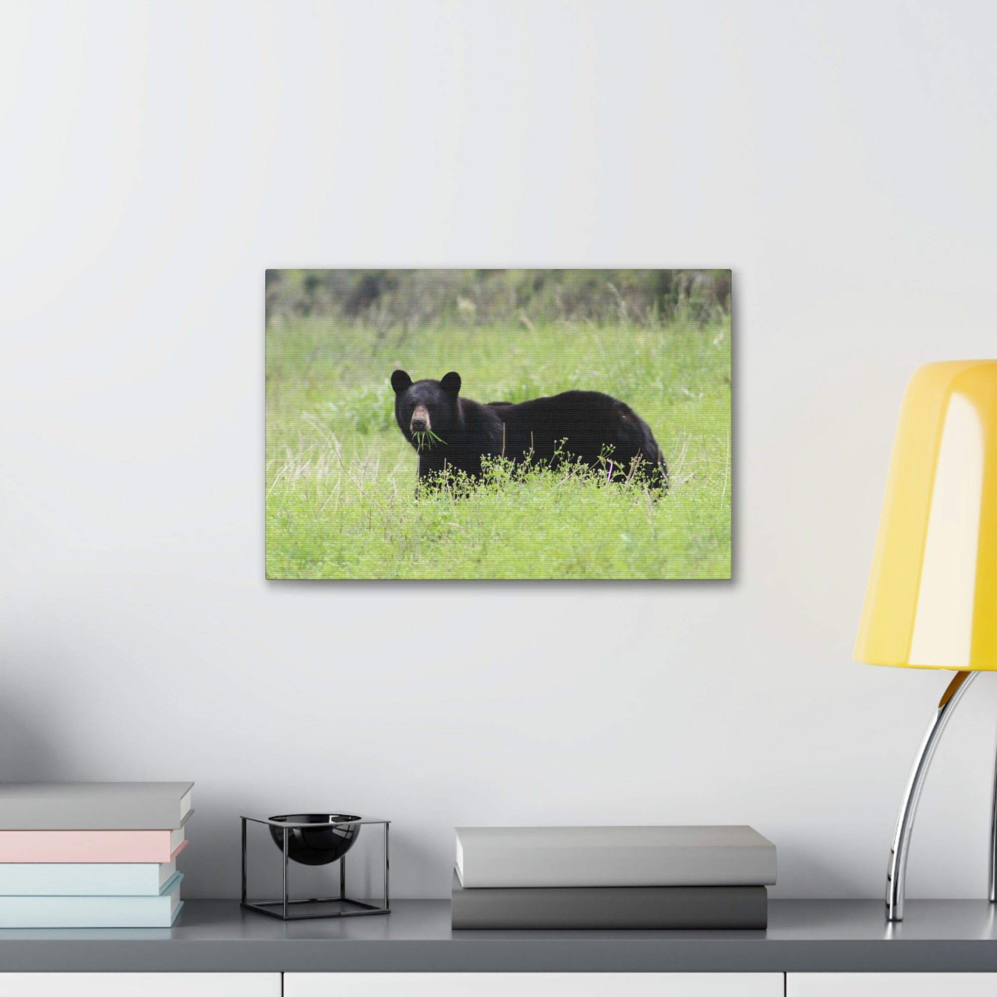 Scripture Walls Black Bear Hunting Black Bear on Hunt Print Animal Wall Art Wildlife Canvas Prints Wall Art Ready to Hang Unframed-Express Your Love Gifts