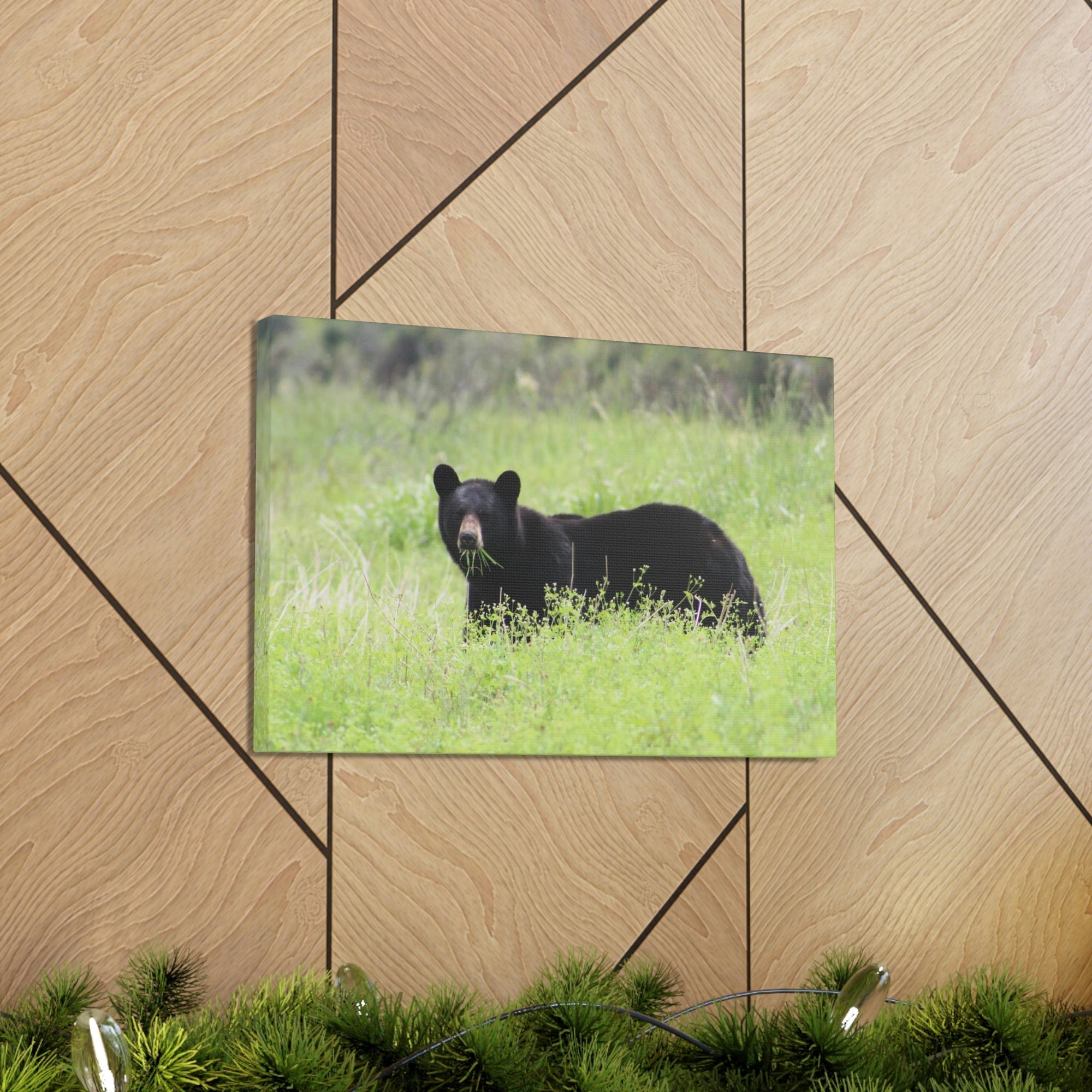 Scripture Walls Black Bear Hunting Black Bear on Hunt Print Animal Wall Art Wildlife Canvas Prints Wall Art Ready to Hang Unframed-Express Your Love Gifts