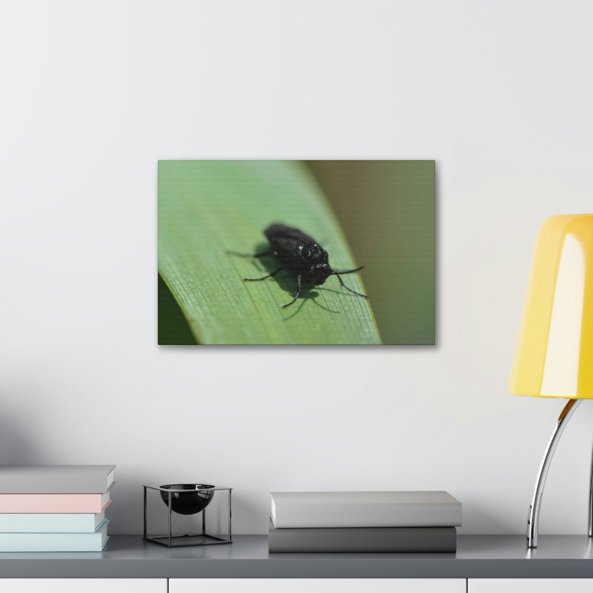 Scripture Walls Black Fly Hunting Black Fly on Hunt Print Animal Wall Art Wildlife Canvas Prints Wall Art Ready to Hang Unframed-Express Your Love Gifts