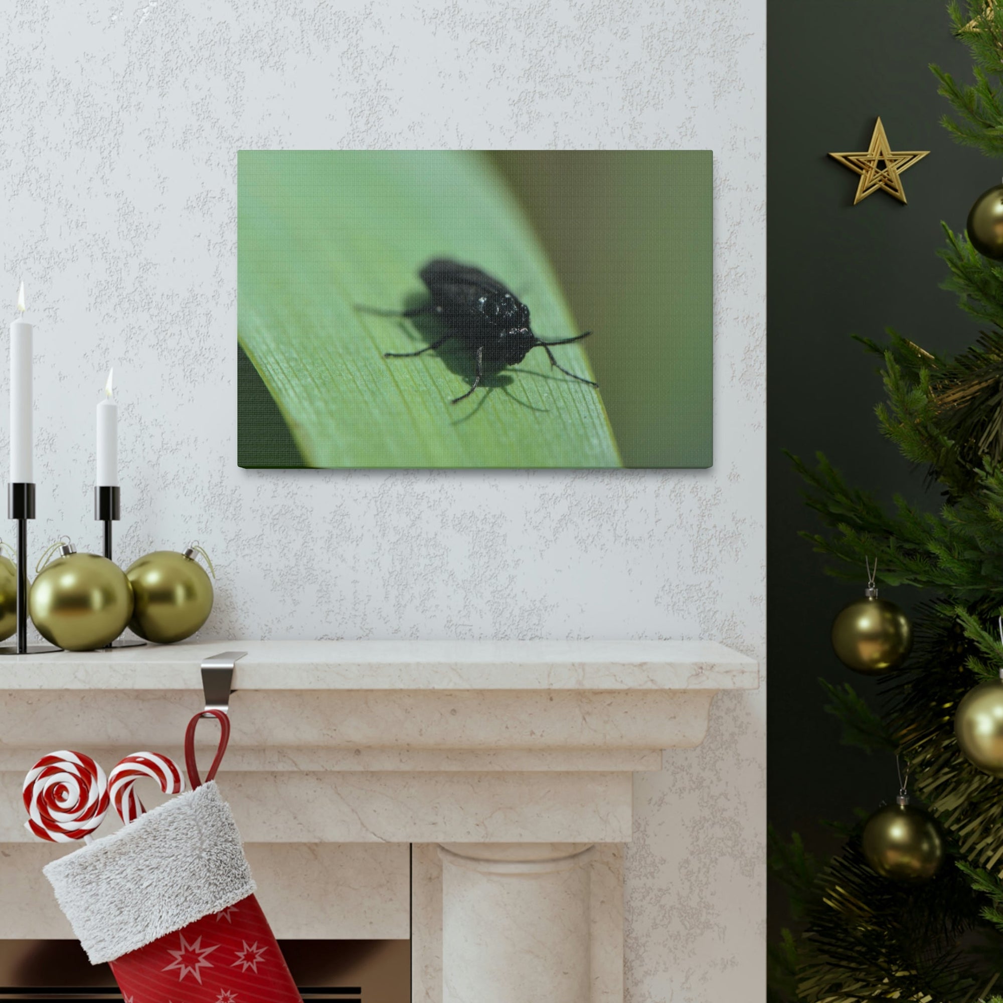 Scripture Walls Black Fly Hunting Black Fly on Hunt Print Animal Wall Art Wildlife Canvas Prints Wall Art Ready to Hang Unframed-Express Your Love Gifts