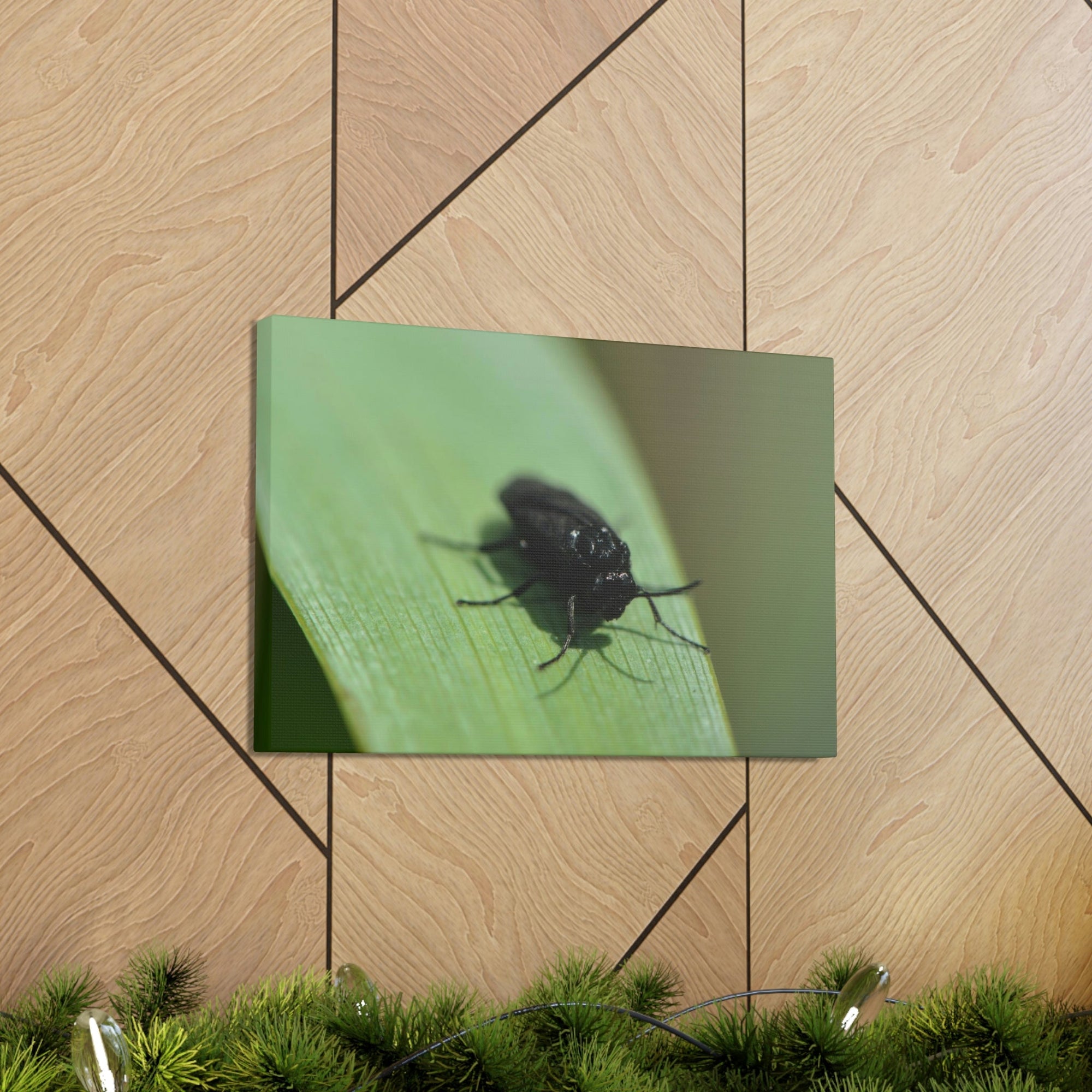 Scripture Walls Black Fly Hunting Black Fly on Hunt Print Animal Wall Art Wildlife Canvas Prints Wall Art Ready to Hang Unframed-Express Your Love Gifts