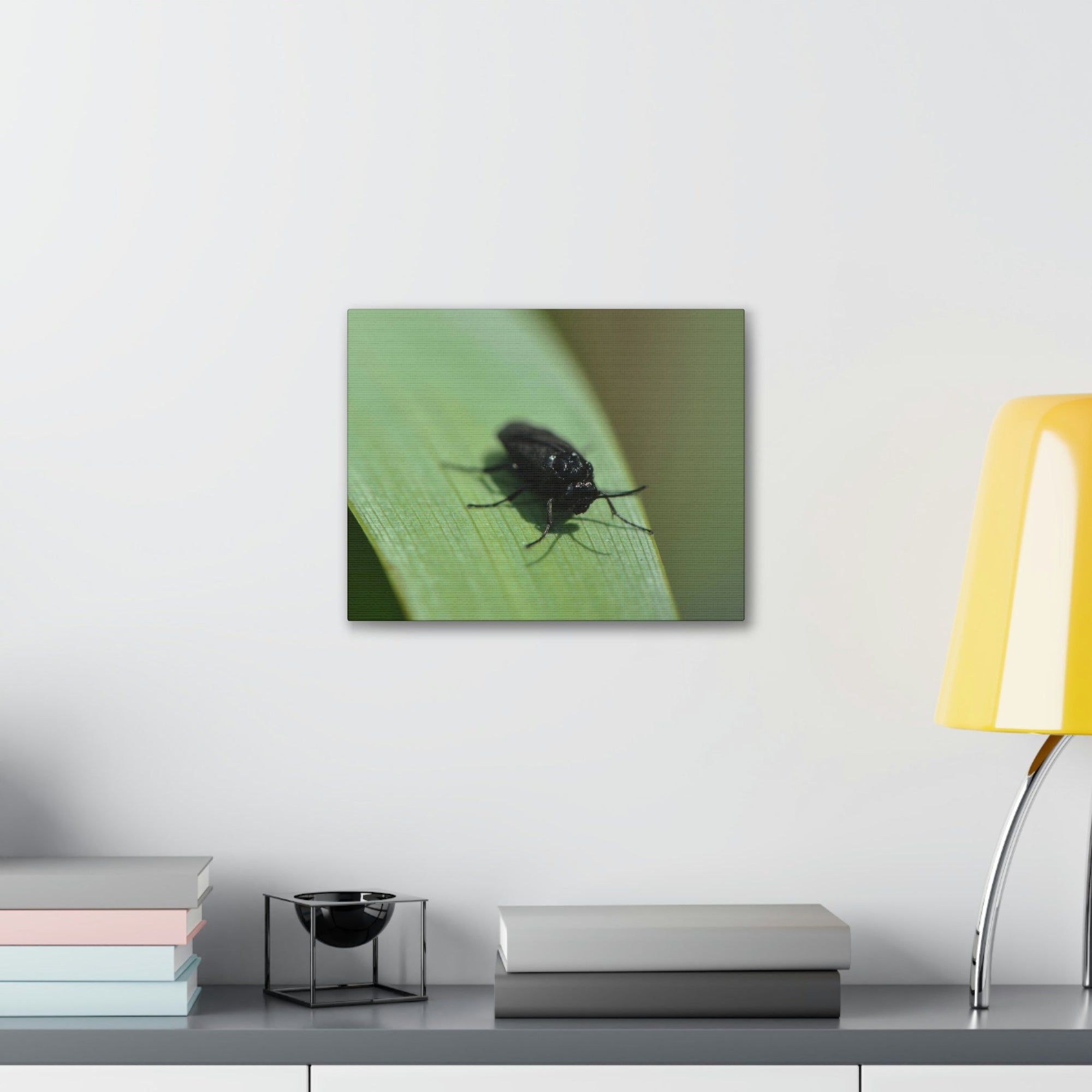 Scripture Walls Black Fly Hunting Black Fly on Hunt Print Animal Wall Art Wildlife Canvas Prints Wall Art Ready to Hang Unframed-Express Your Love Gifts