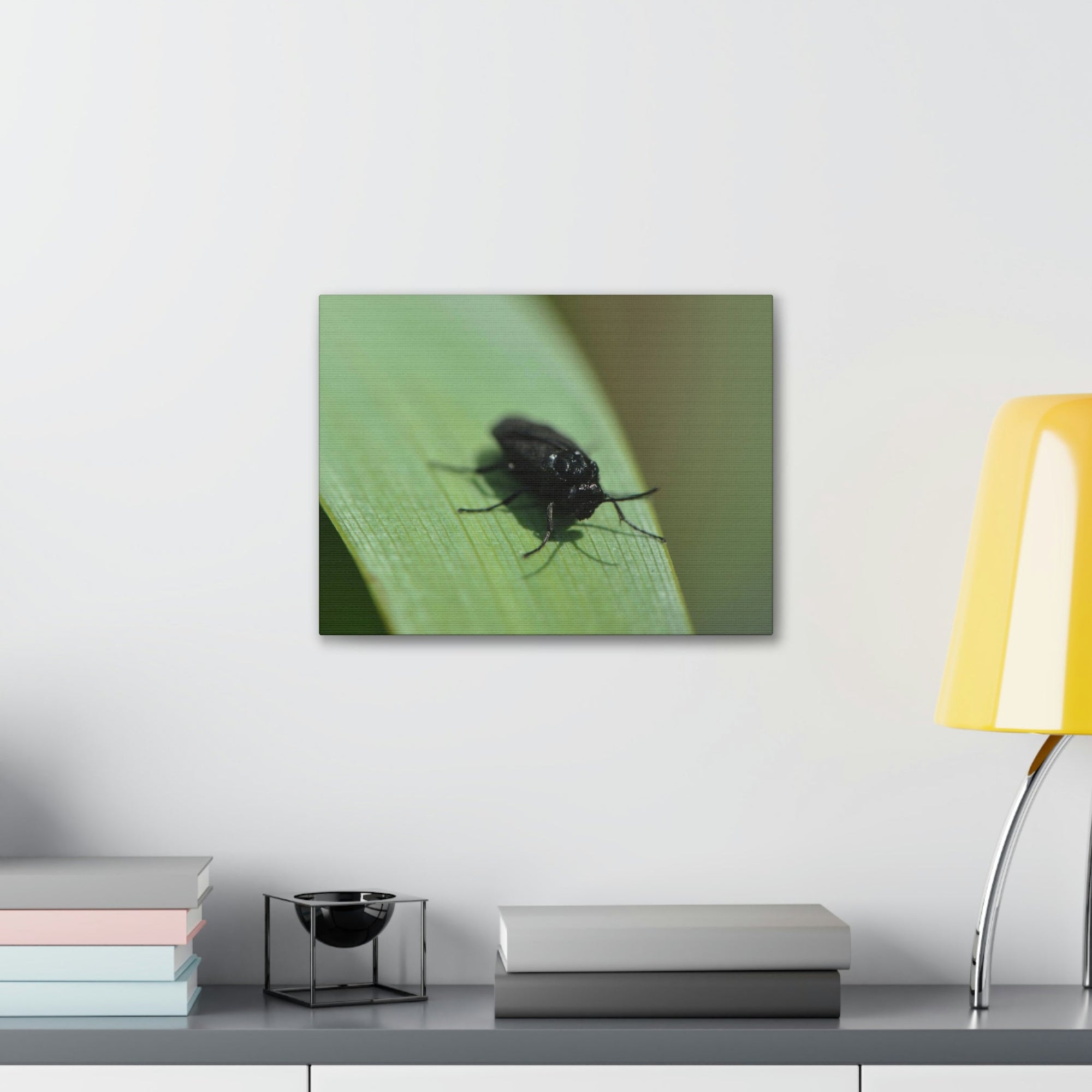 Scripture Walls Black Fly Hunting Black Fly on Hunt Print Animal Wall Art Wildlife Canvas Prints Wall Art Ready to Hang Unframed-Express Your Love Gifts