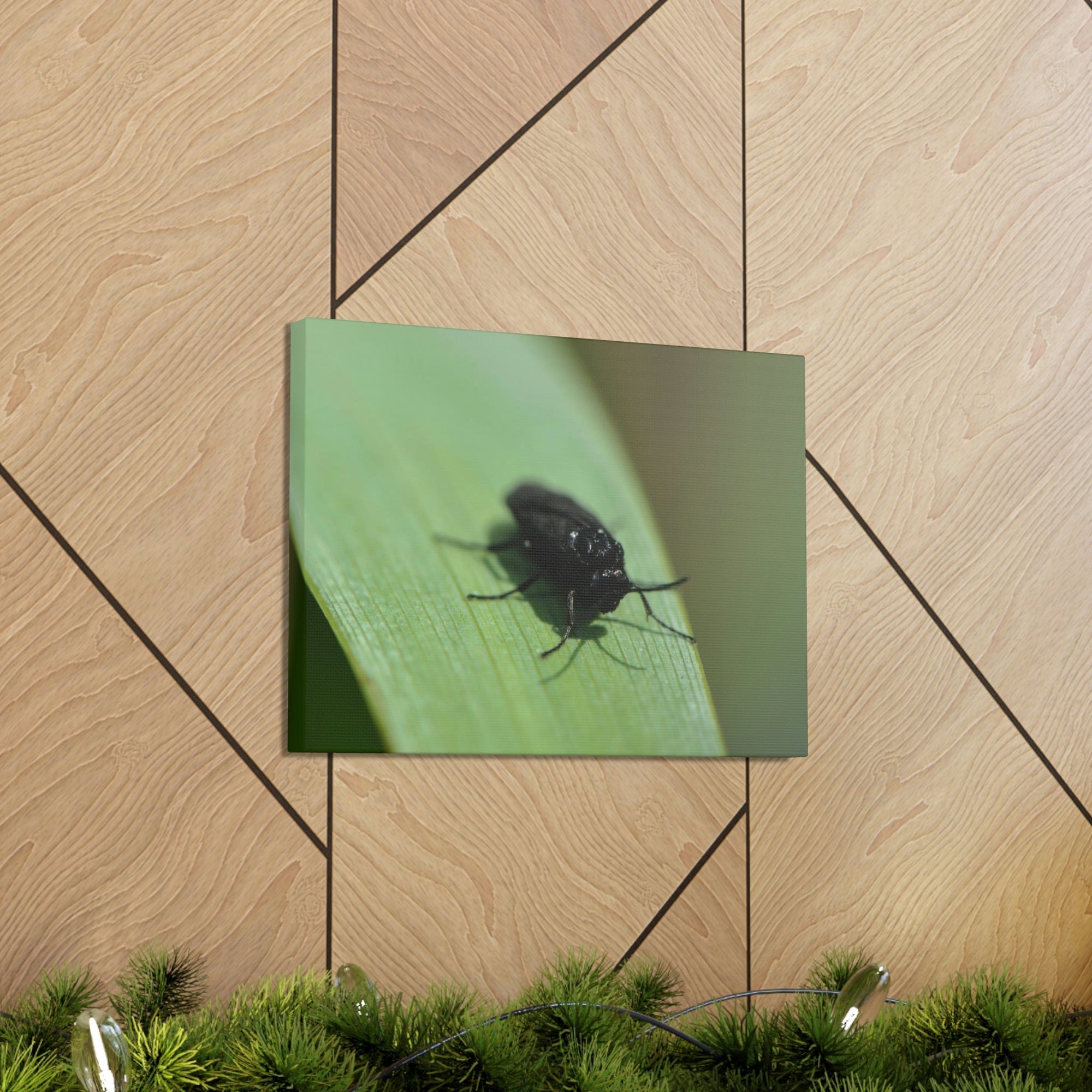 Scripture Walls Black Fly Hunting Black Fly on Hunt Print Animal Wall Art Wildlife Canvas Prints Wall Art Ready to Hang Unframed-Express Your Love Gifts