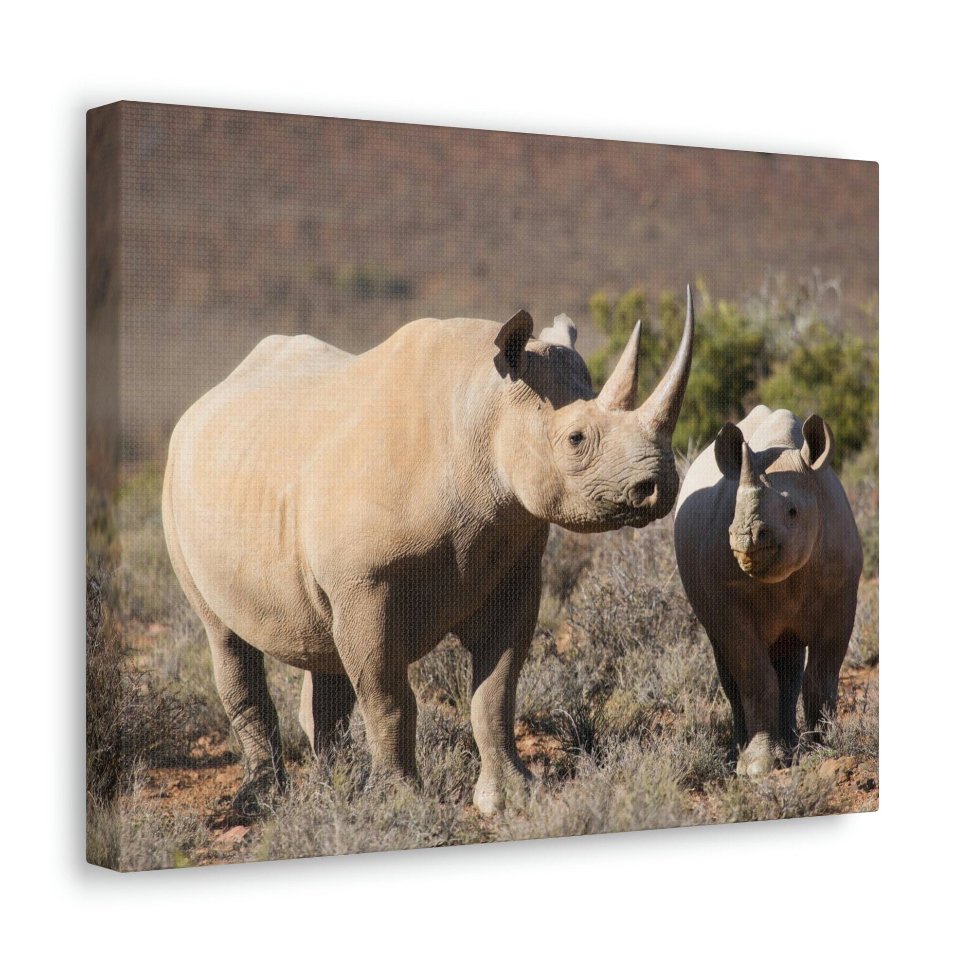 Scripture Walls Black Rhino Couple Black Rhino Troop Print Animal Wall Art Wildlife Canvas Prints Wall Art Ready to Hang Unframed-Express Your Love Gifts