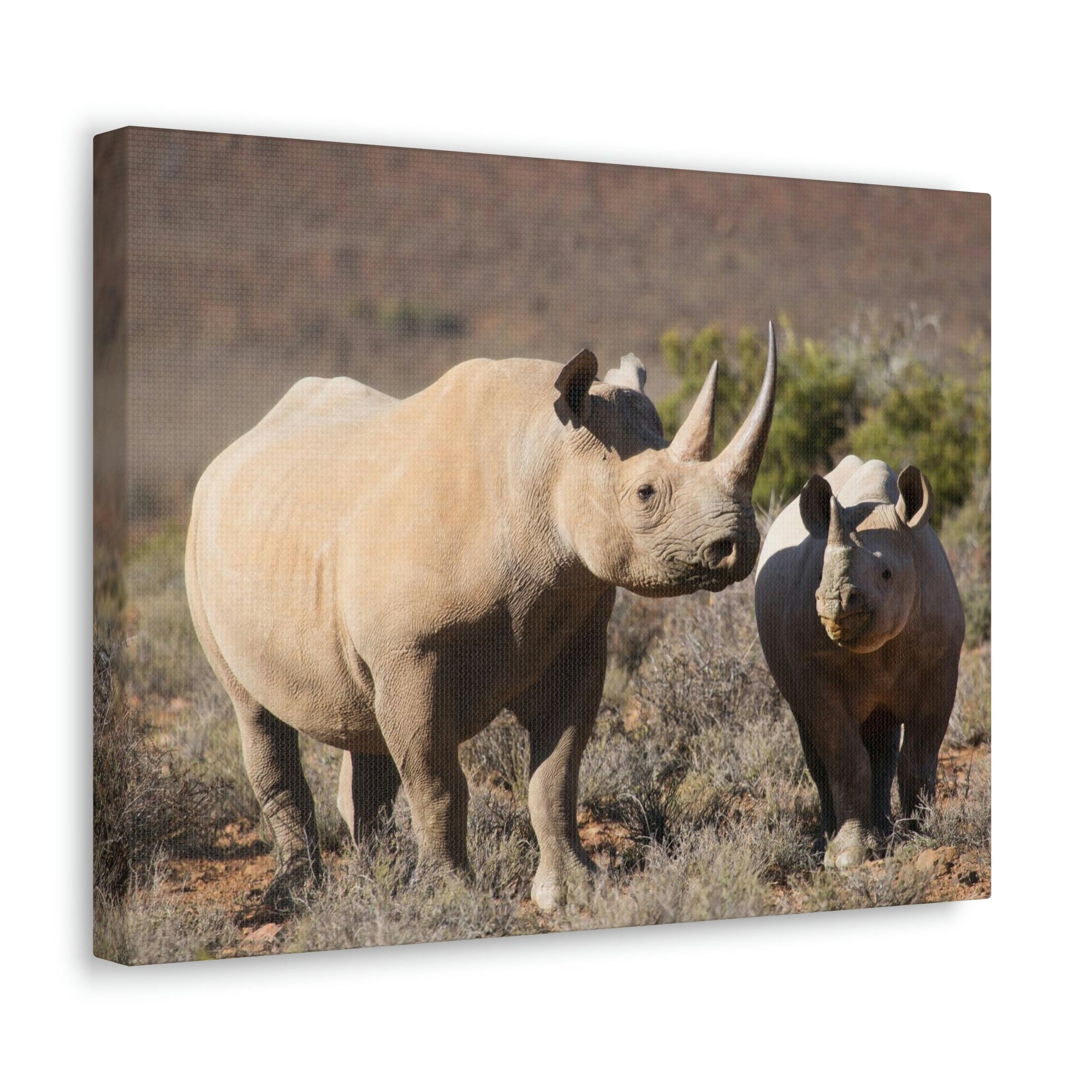 Scripture Walls Black Rhino Couple Black Rhino Troop Print Animal Wall Art Wildlife Canvas Prints Wall Art Ready to Hang Unframed-Express Your Love Gifts