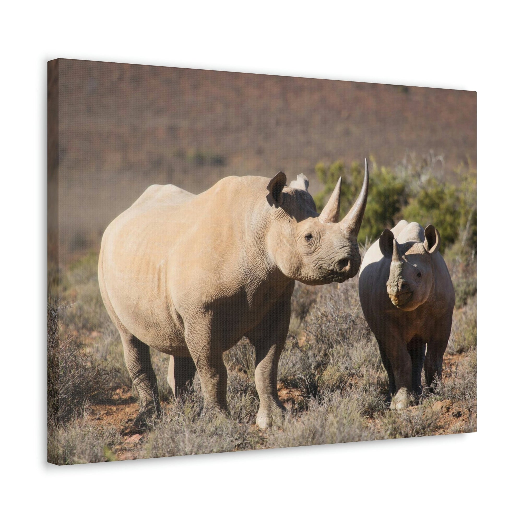 Scripture Walls Black Rhino Couple Black Rhino Troop Print Animal Wall Art Wildlife Canvas Prints Wall Art Ready to Hang Unframed-Express Your Love Gifts