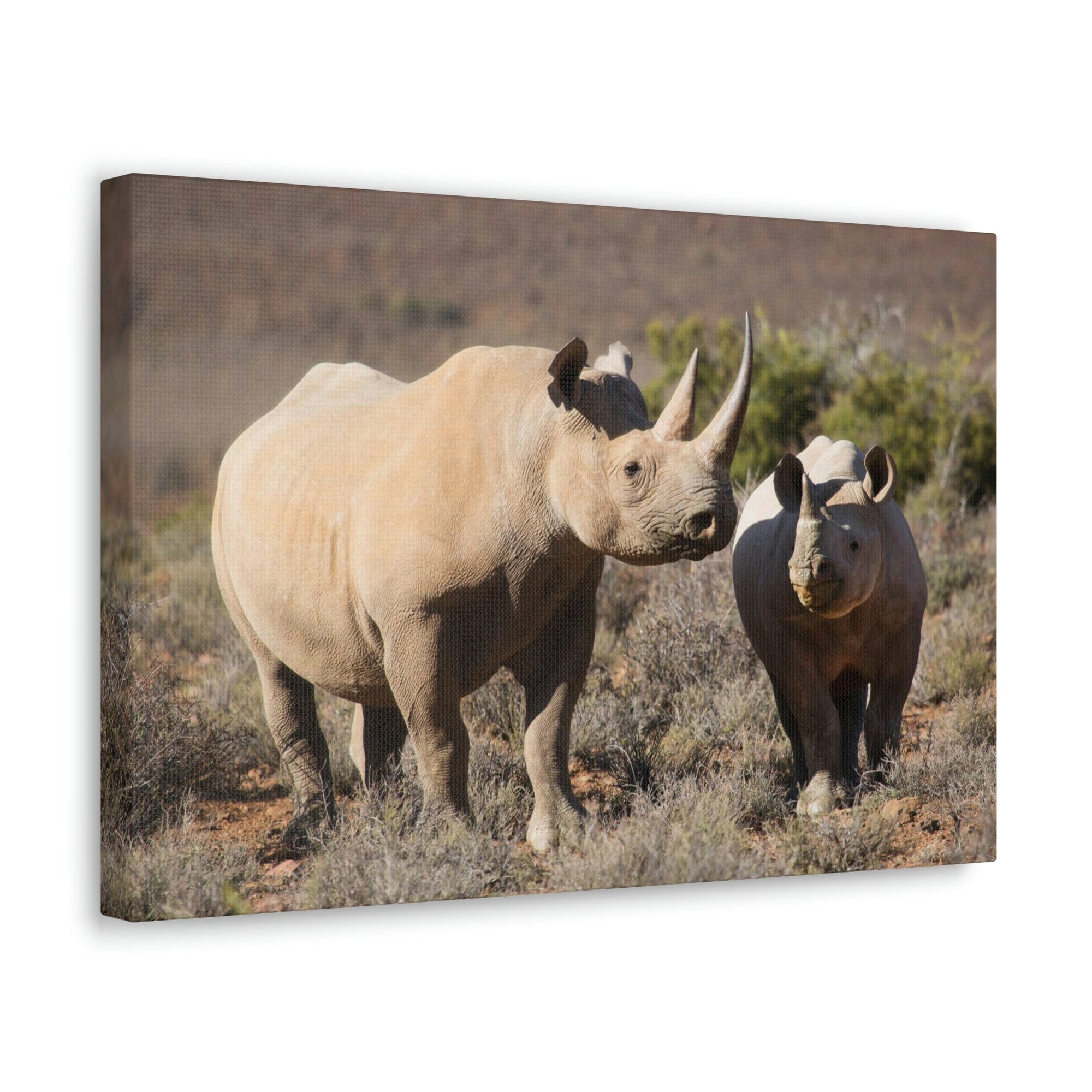 Scripture Walls Black Rhino Couple Black Rhino Troop Print Animal Wall Art Wildlife Canvas Prints Wall Art Ready to Hang Unframed-Express Your Love Gifts