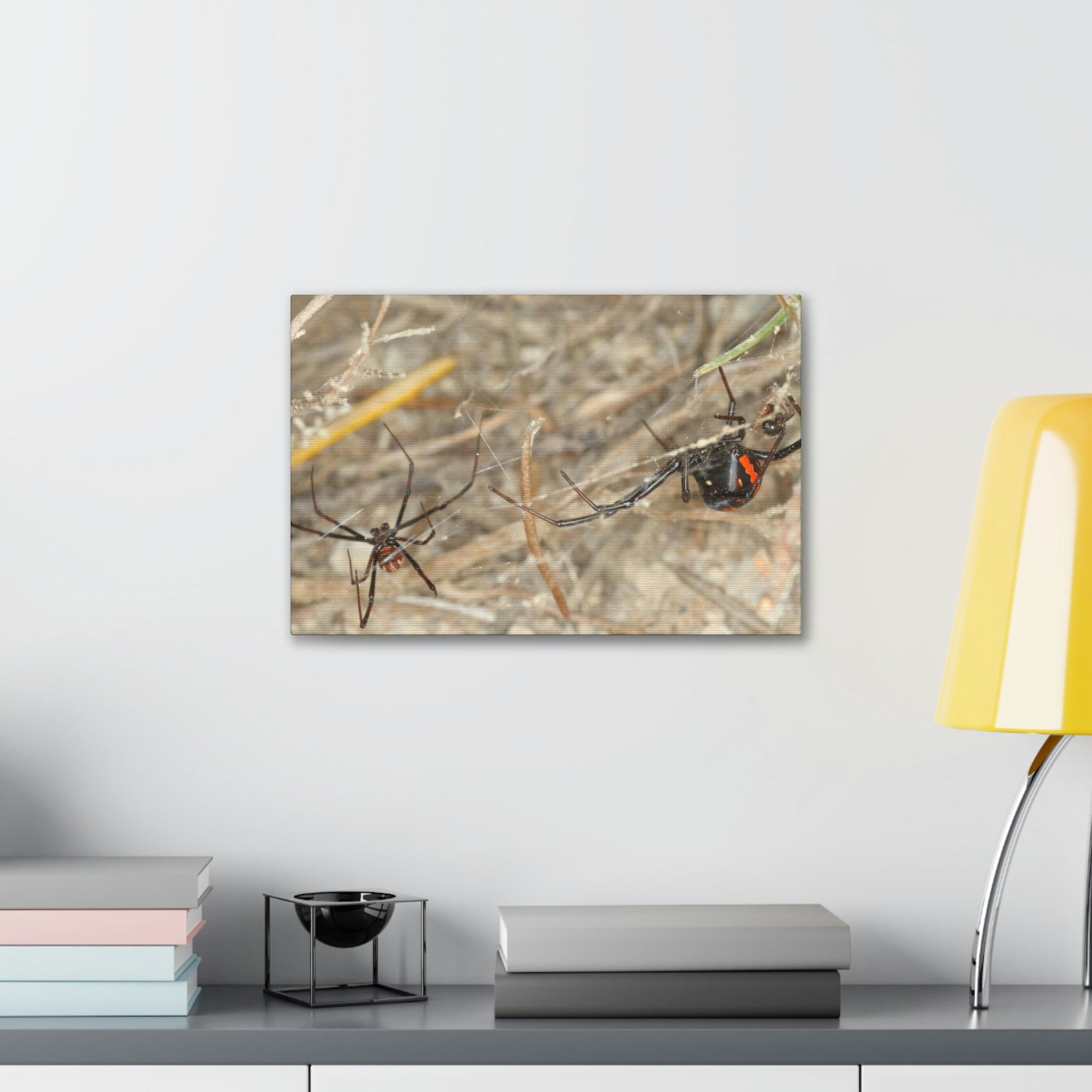 Scripture Walls Black Widow Couple Black Widow Troop Print Animal Wall Art Wildlife Canvas Prints Wall Art Ready to Hang Unframed-Express Your Love Gifts